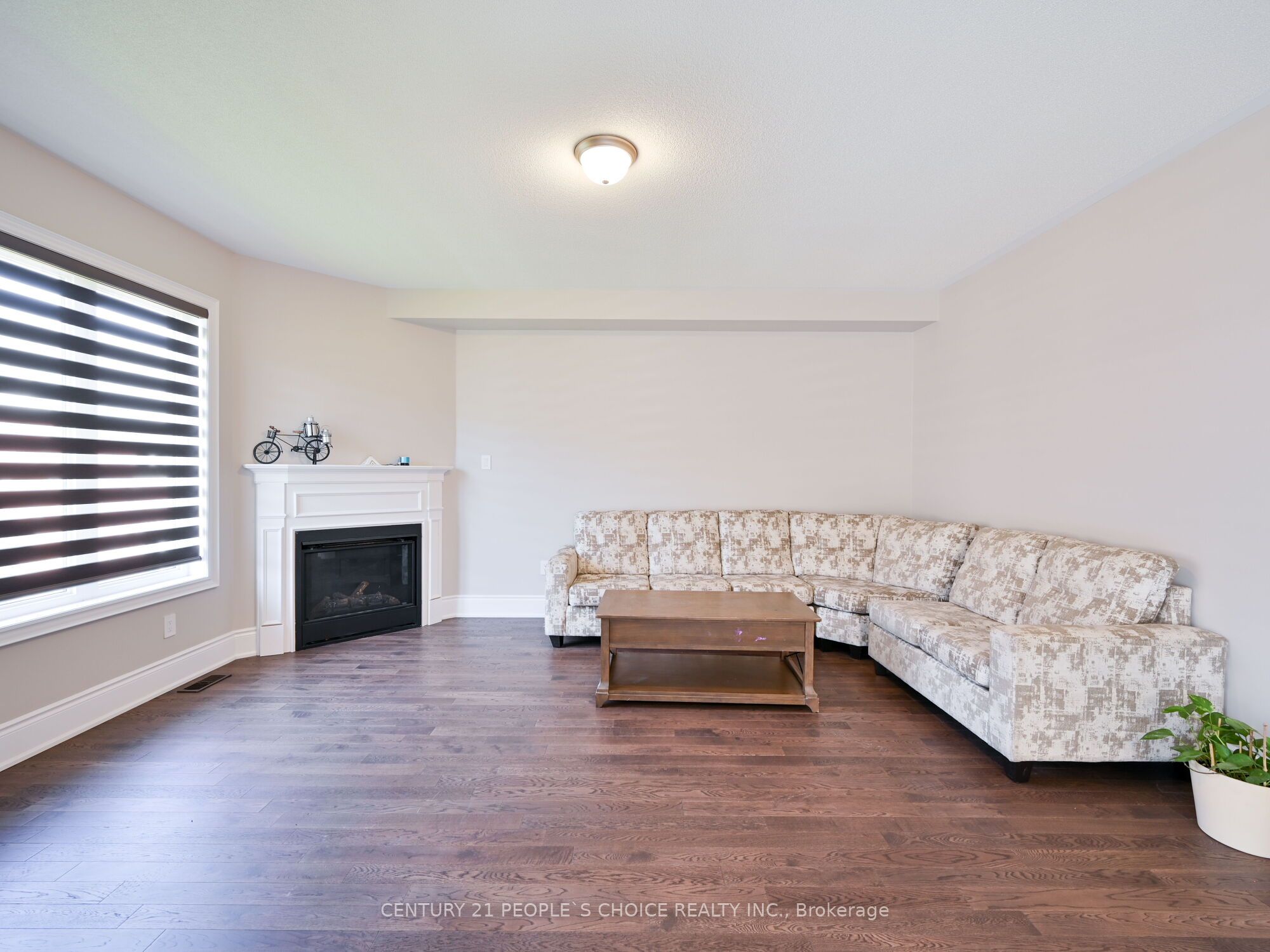 12 Junior Road Property Photo 16