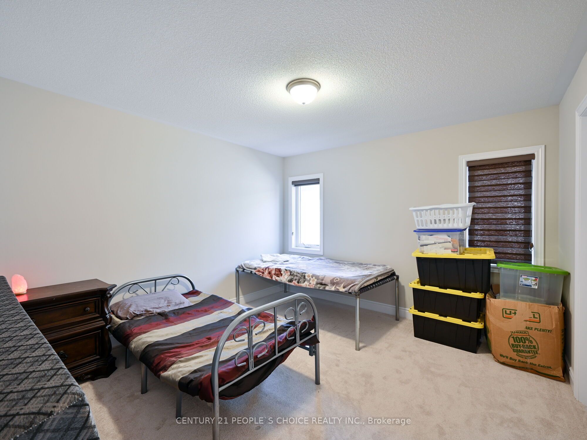 12 Junior Road Property Photo 31