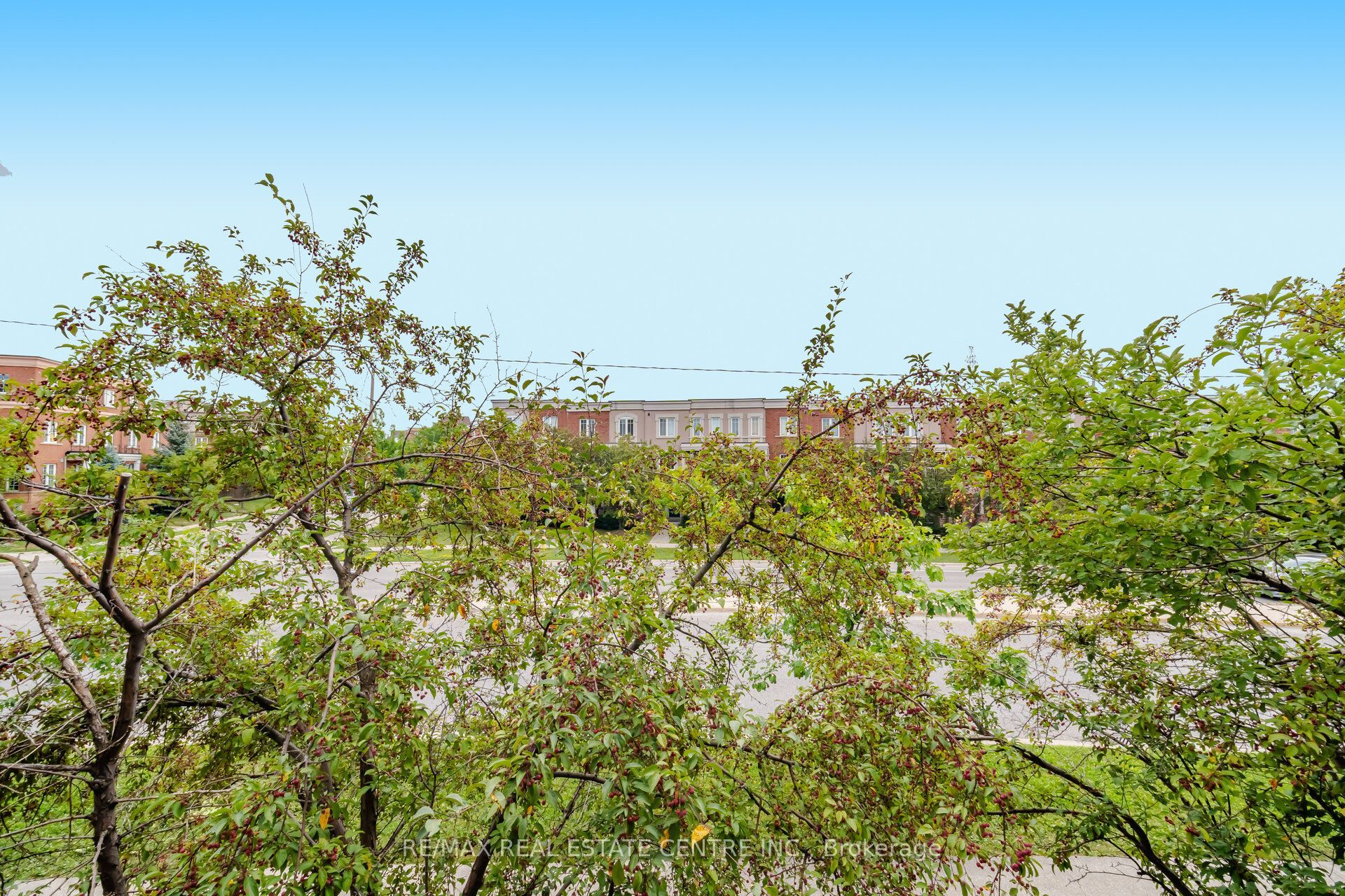 375 Cook Road 61 Property Photo 18