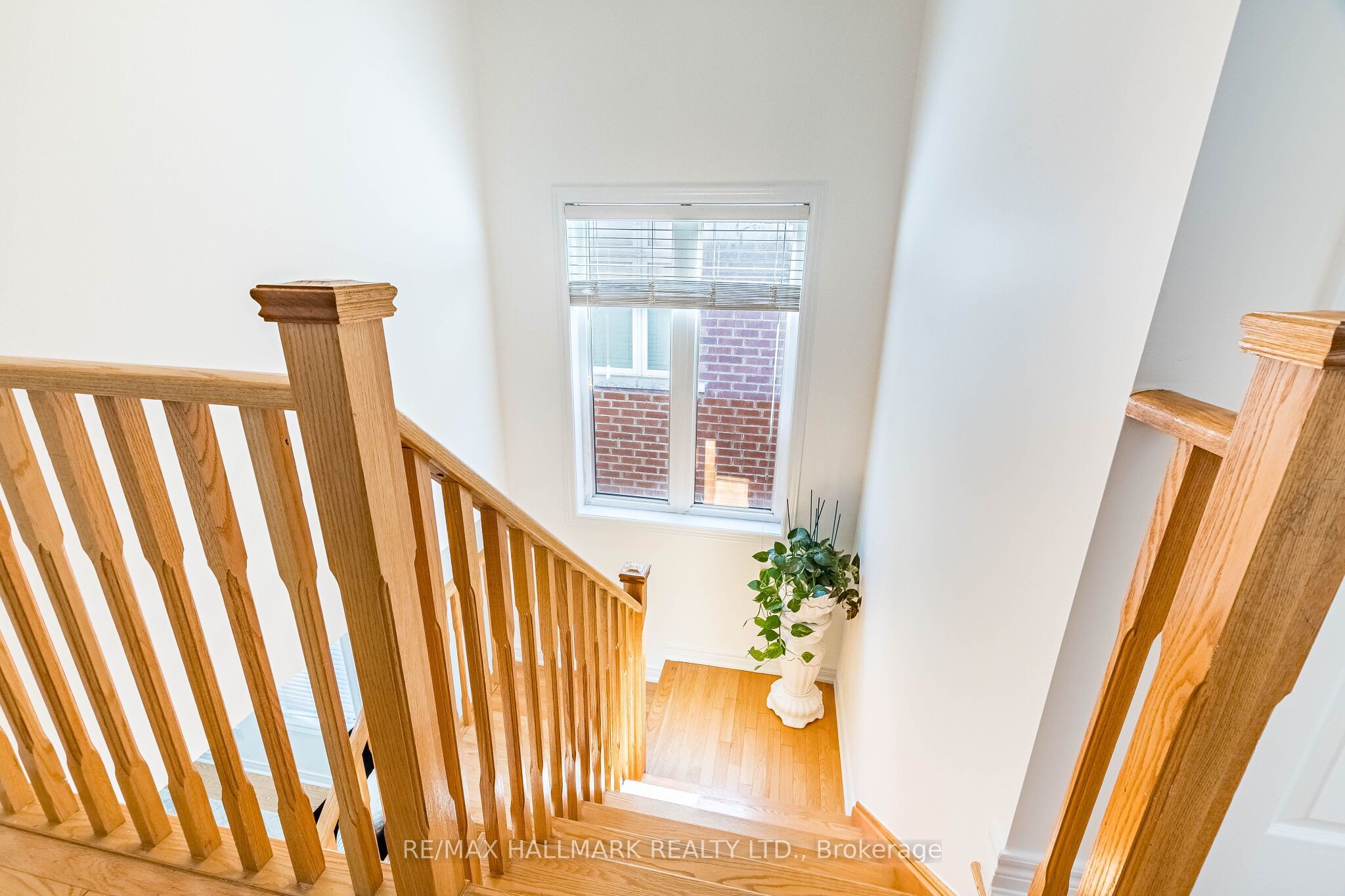 4 Callalily Road Property Photo 20