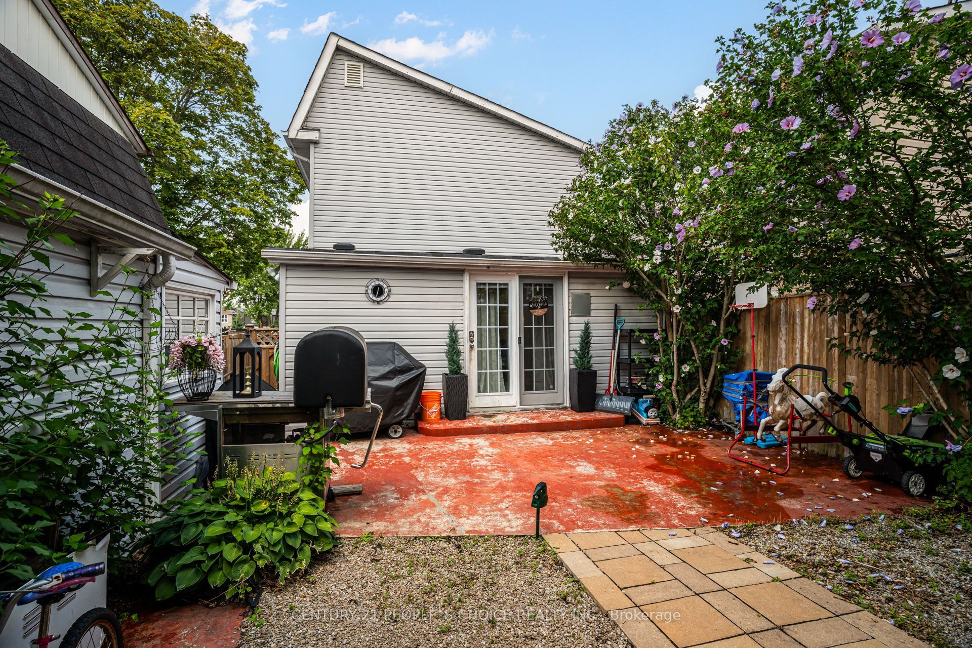 13 Jeffrey Street Property Photo 43