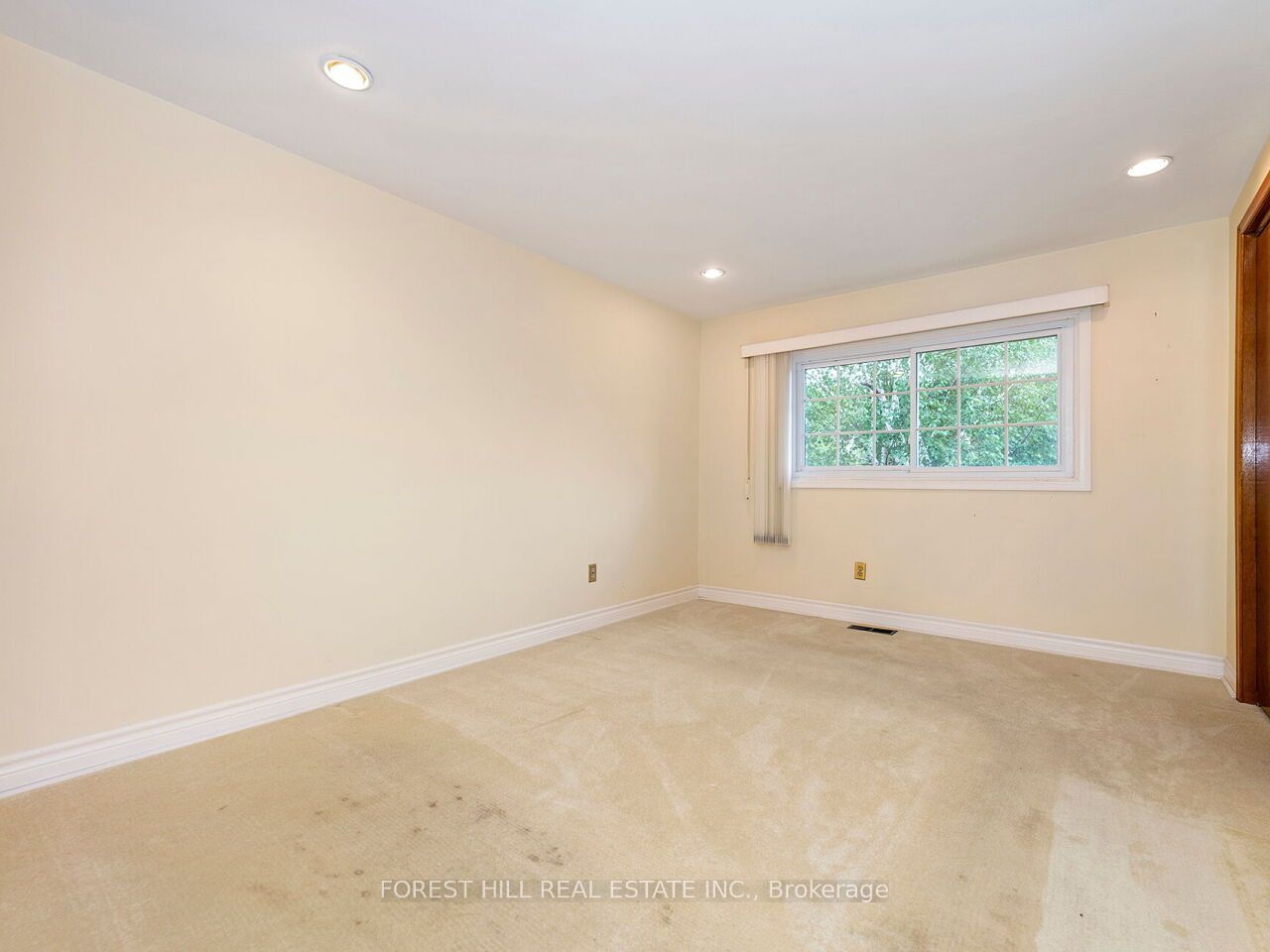 29 Mary Street Property Photo 14