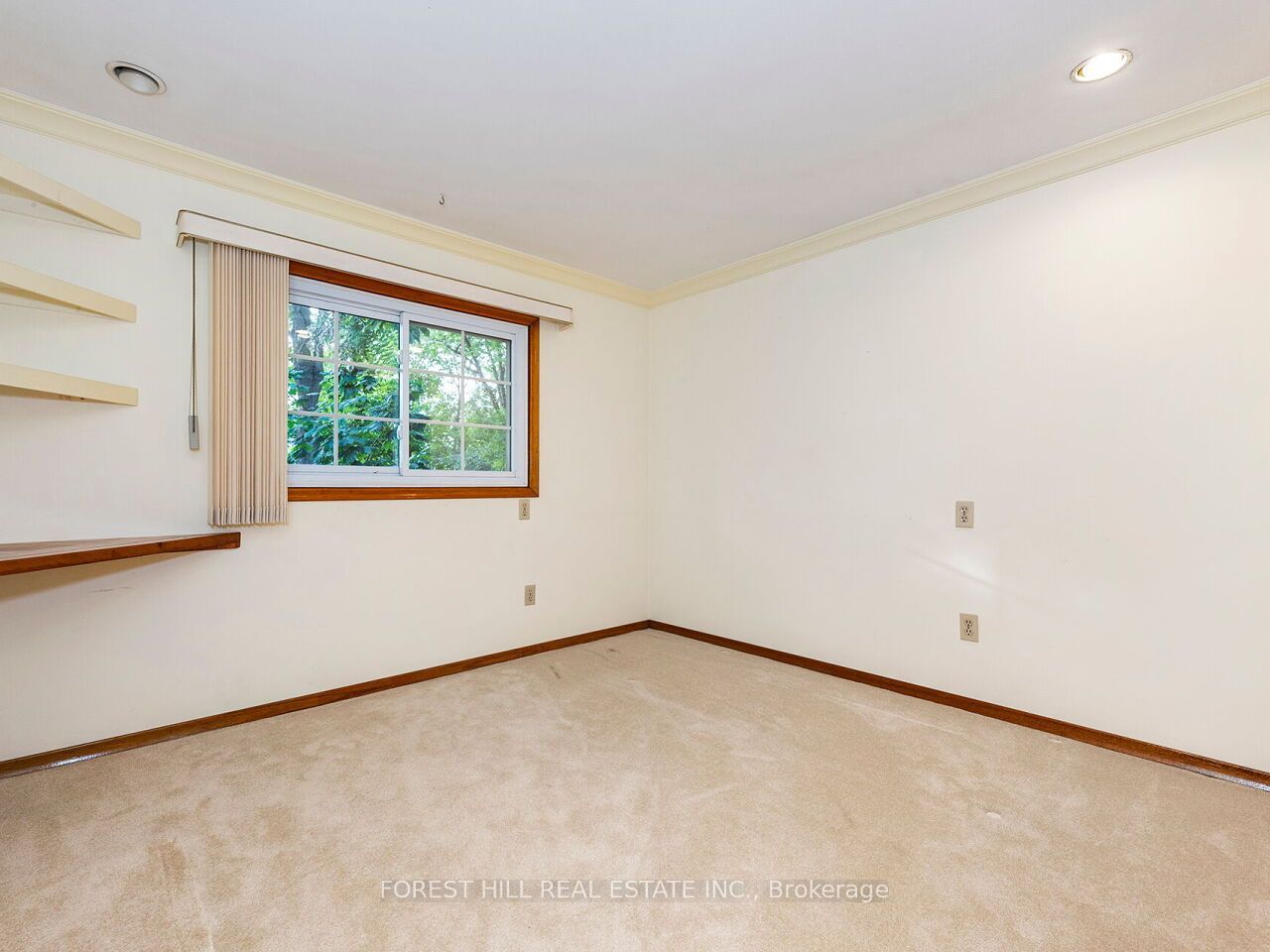 29 Mary Street Property Photo 17