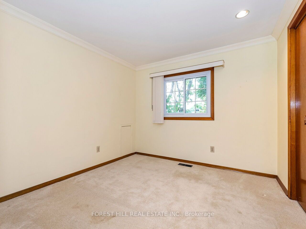 29 Mary Street Property Photo 18