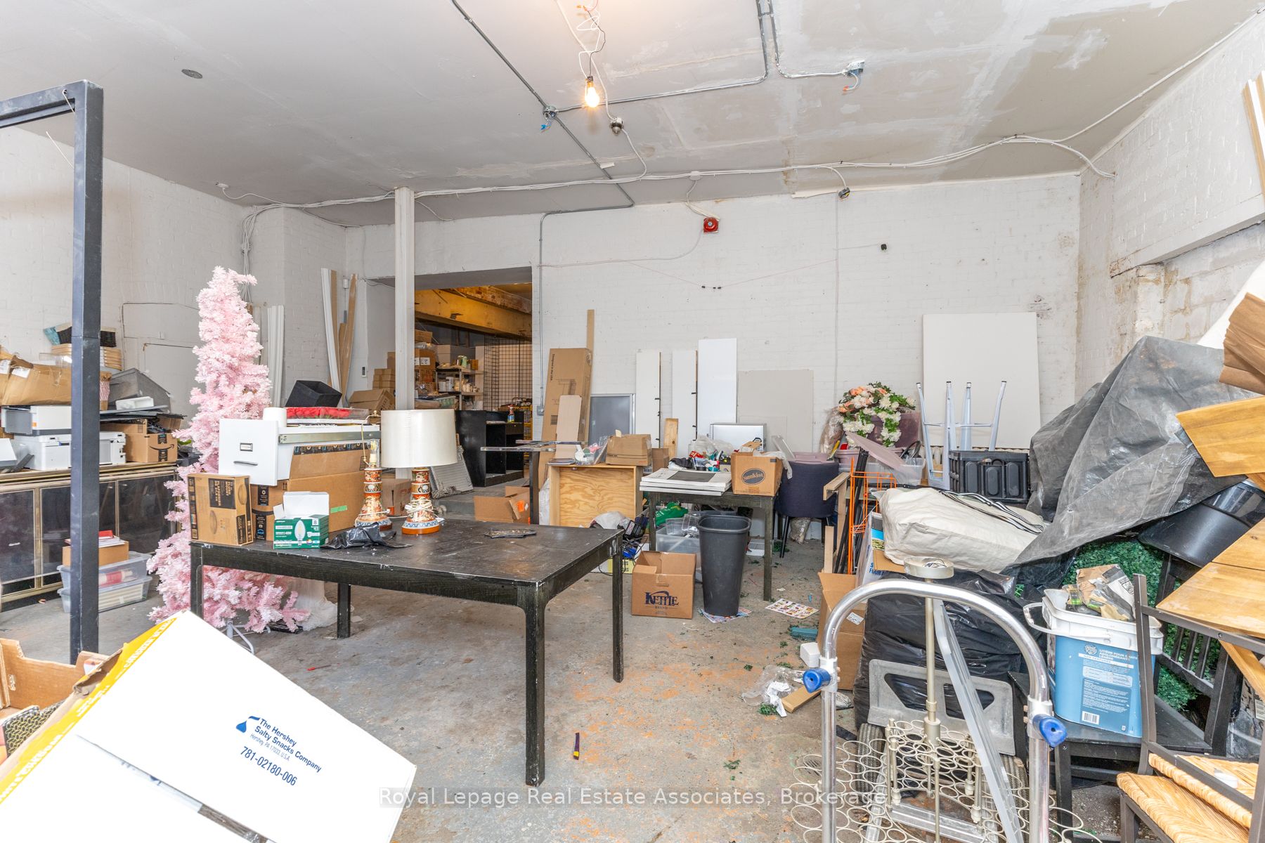 83 Elm Grove Avenue Property Photo 9