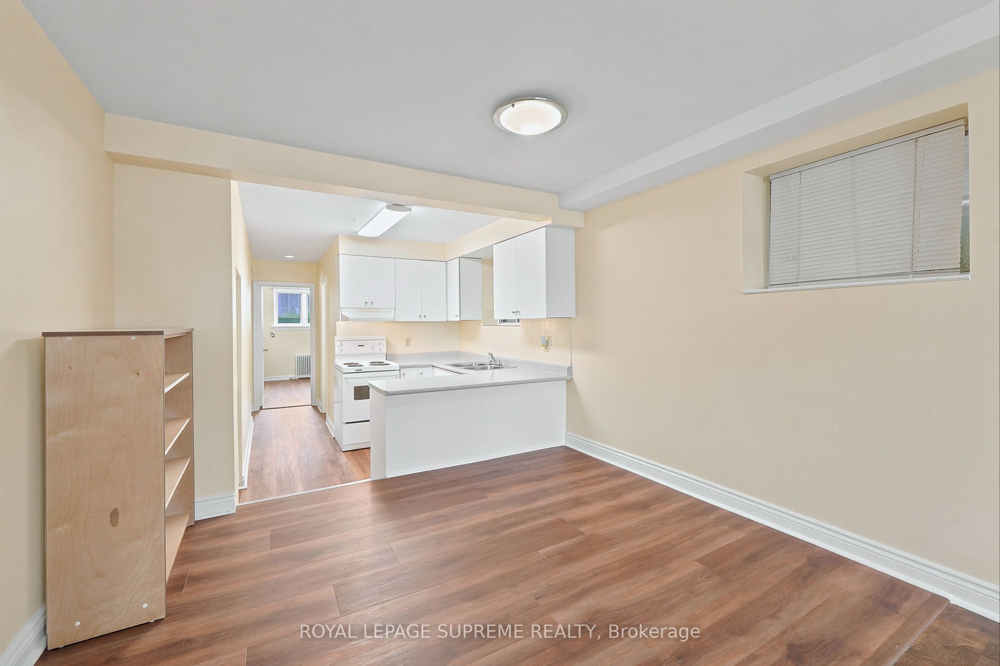 56 Dynevor Road Bsmt Property Photo 3