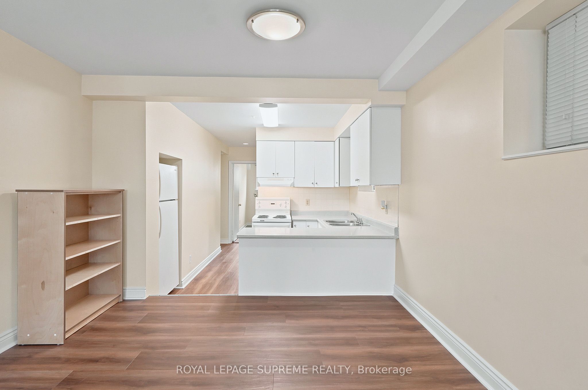56 Dynevor Road Bsmt Property Photo 4