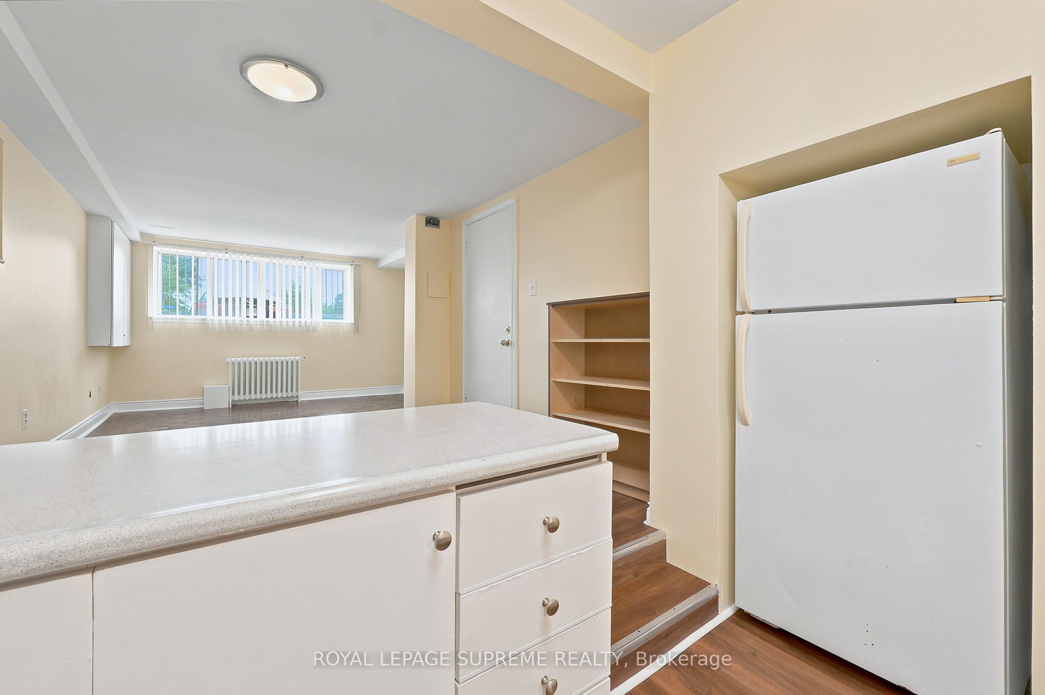 56 Dynevor Road Bsmt Property Photo 8