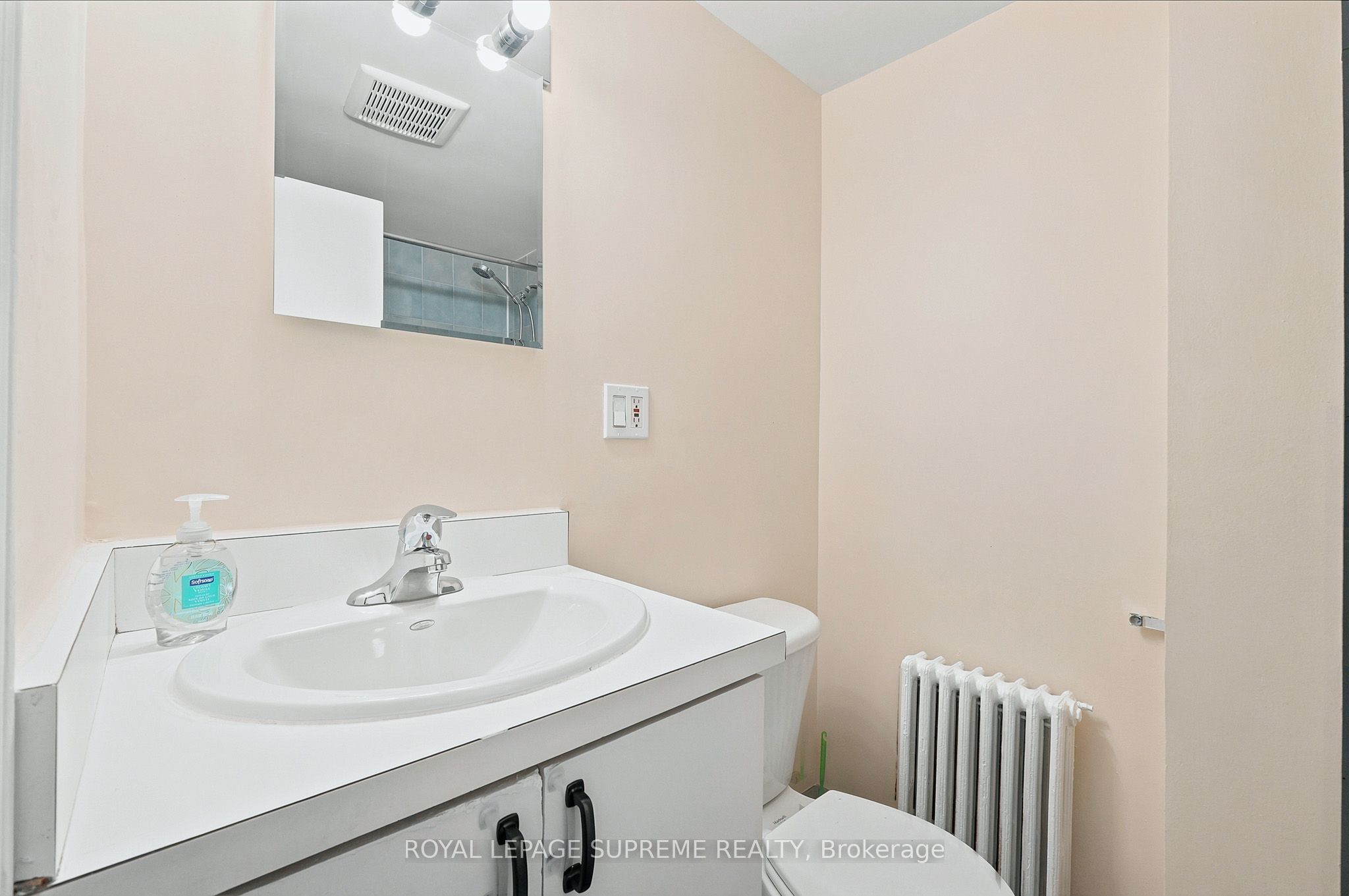 56 Dynevor Road Bsmt Property Photo 11