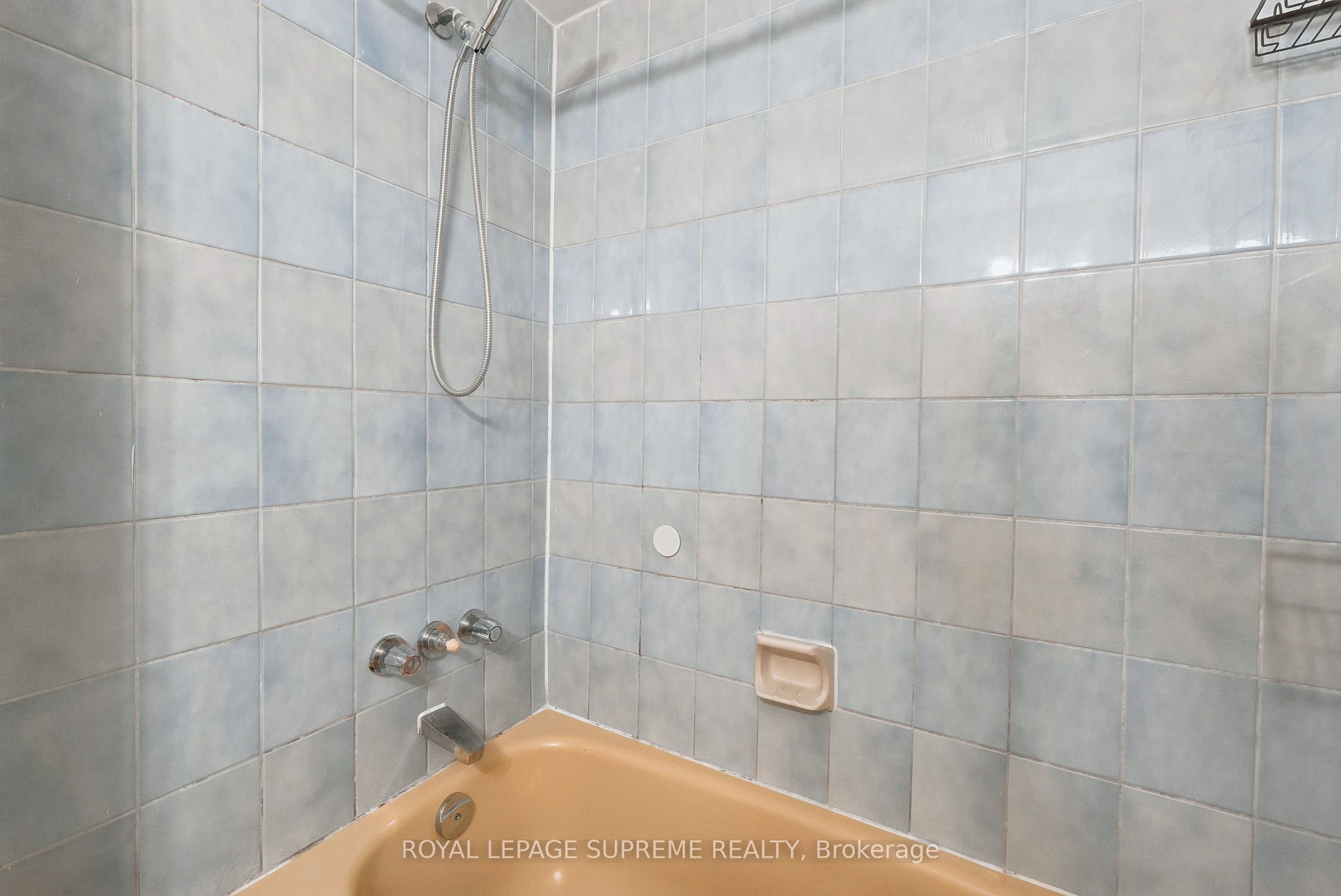 56 Dynevor Road Bsmt Property Photo 12