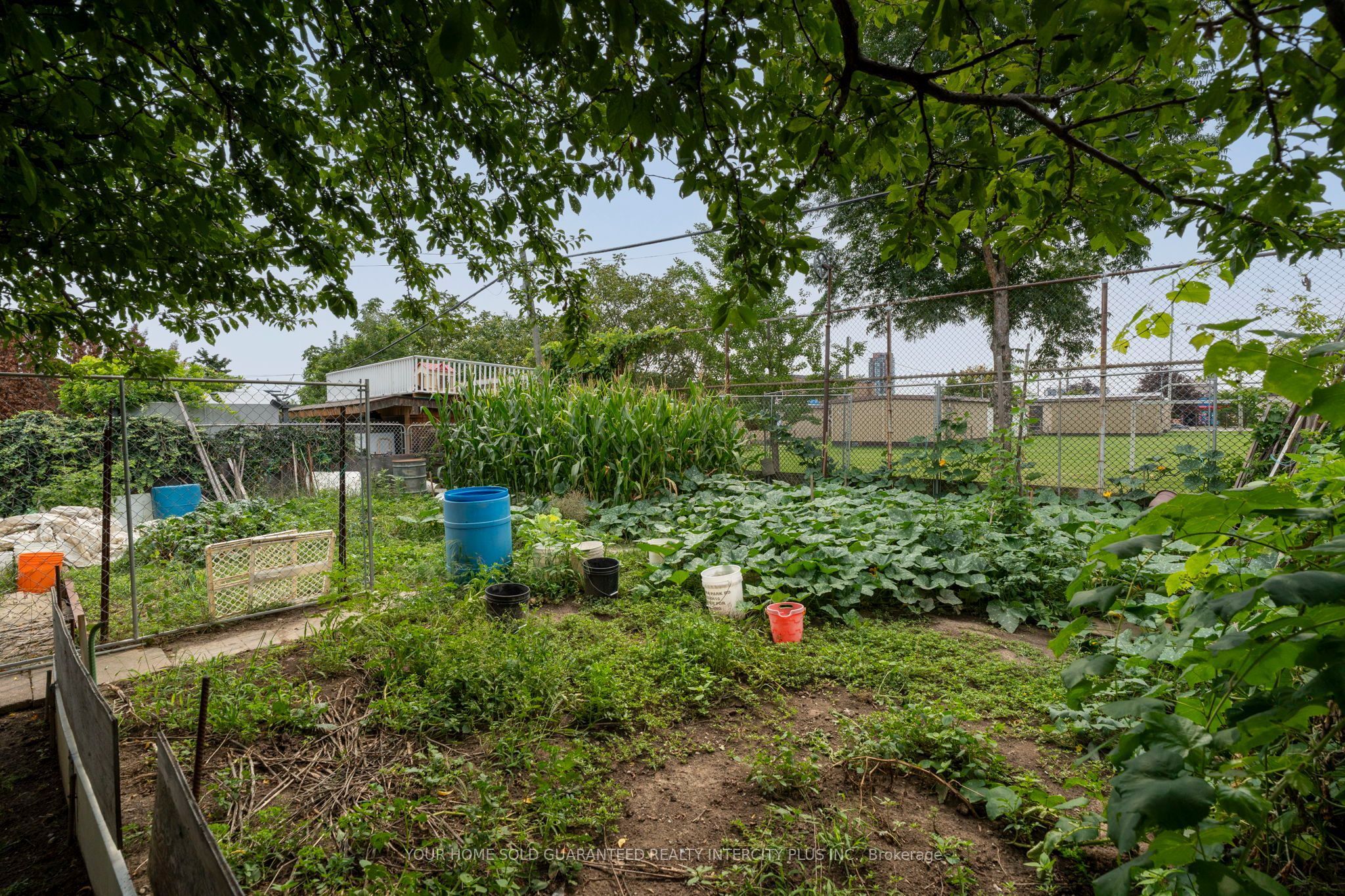 67 Bentworth Avenue Property Photo 42