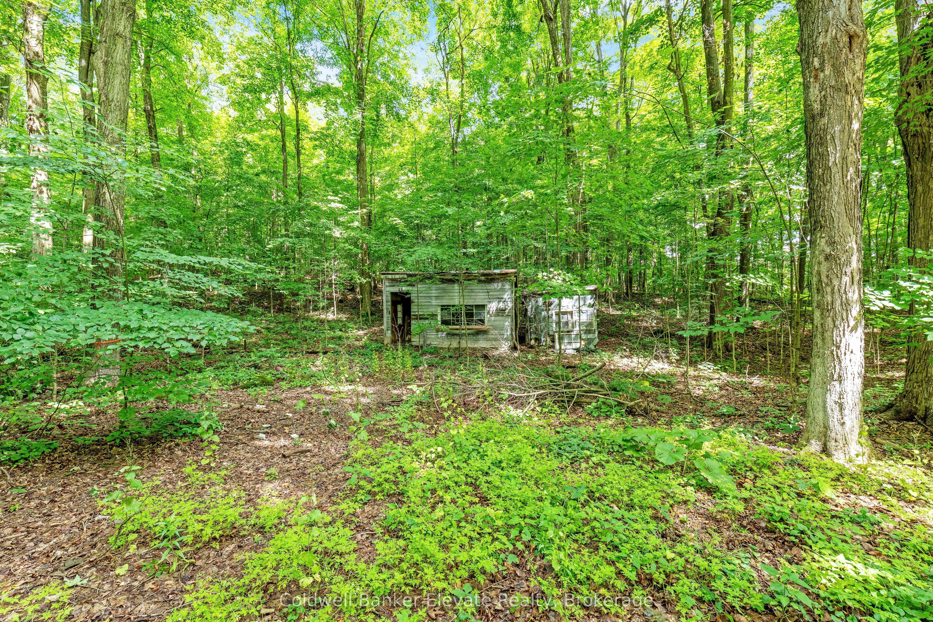 2529 Campbellville Road Property Photo 36