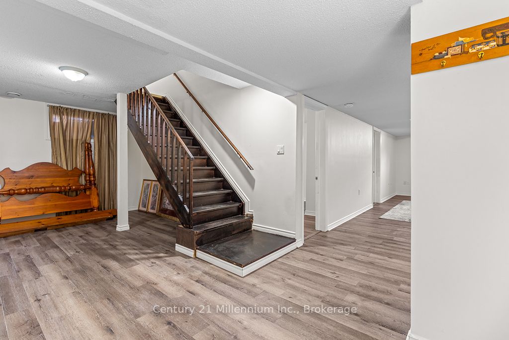11 Northampton Street Property Photo 22