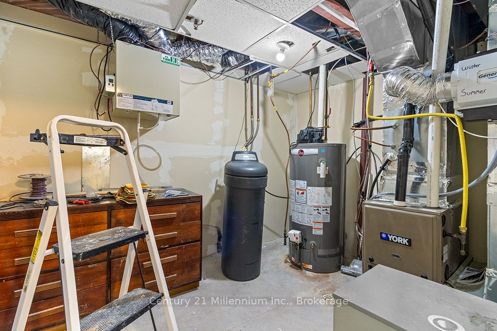 11 Northampton Street Property Photo 36