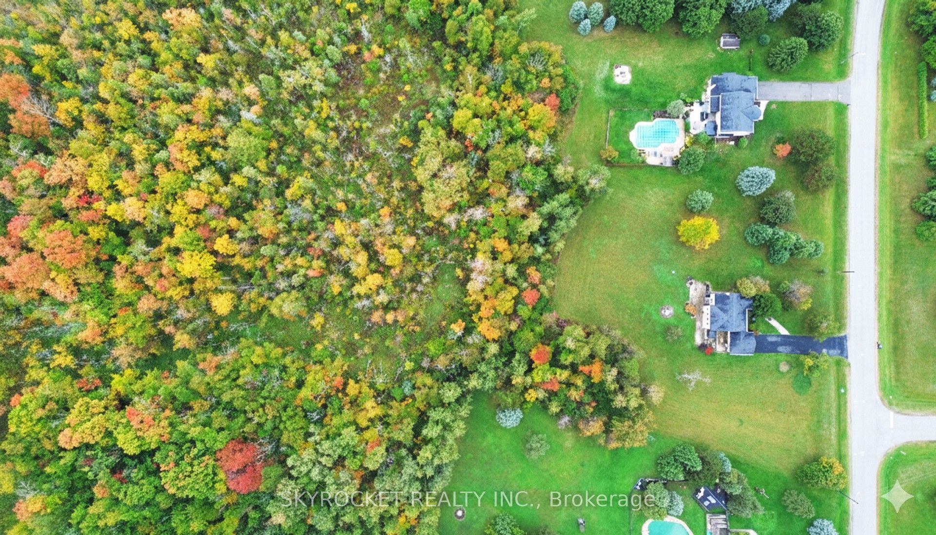 41 Elite Road Property Photo 5