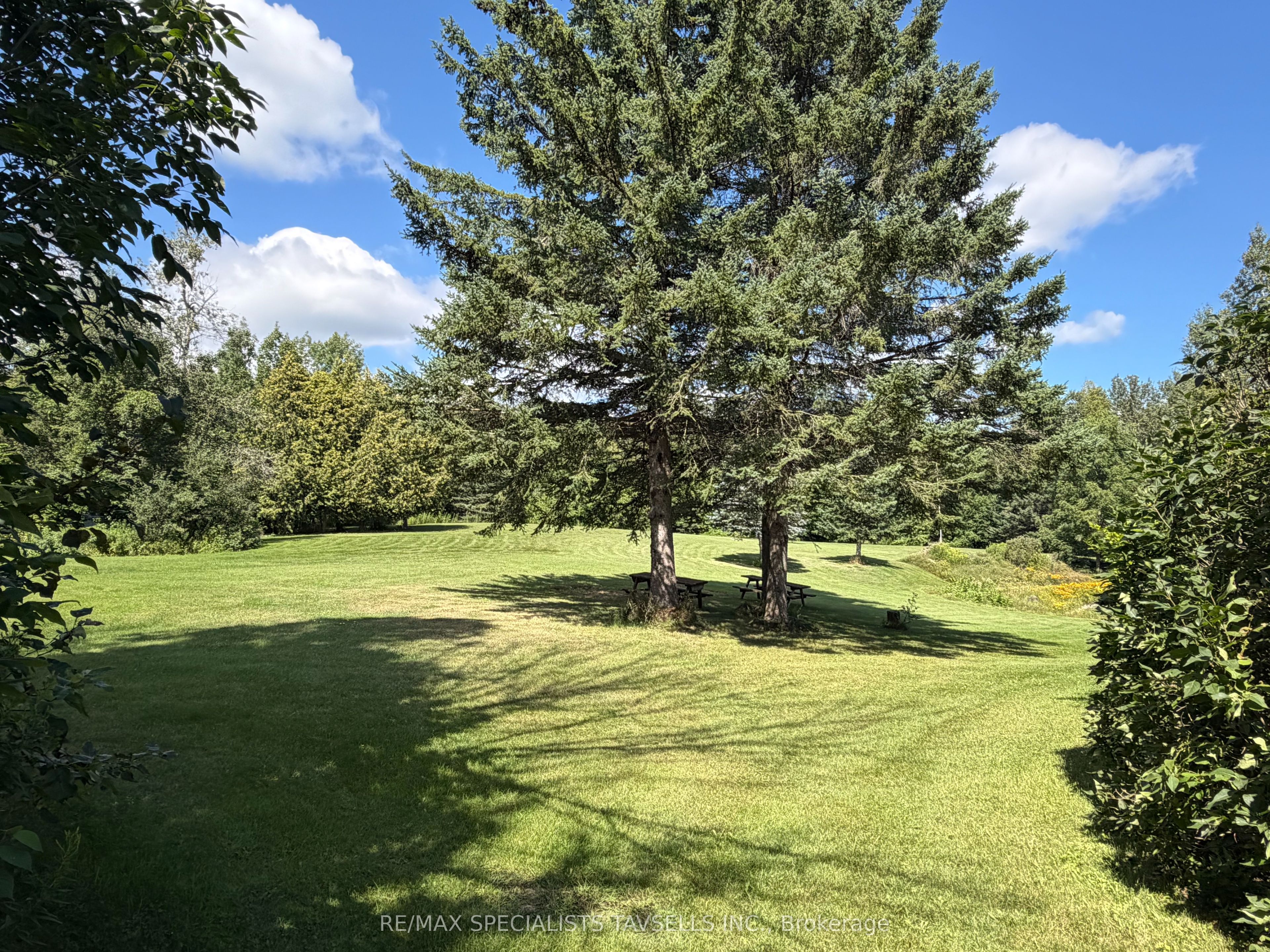 18606 Horseshoe Hill Road Property Photo 13