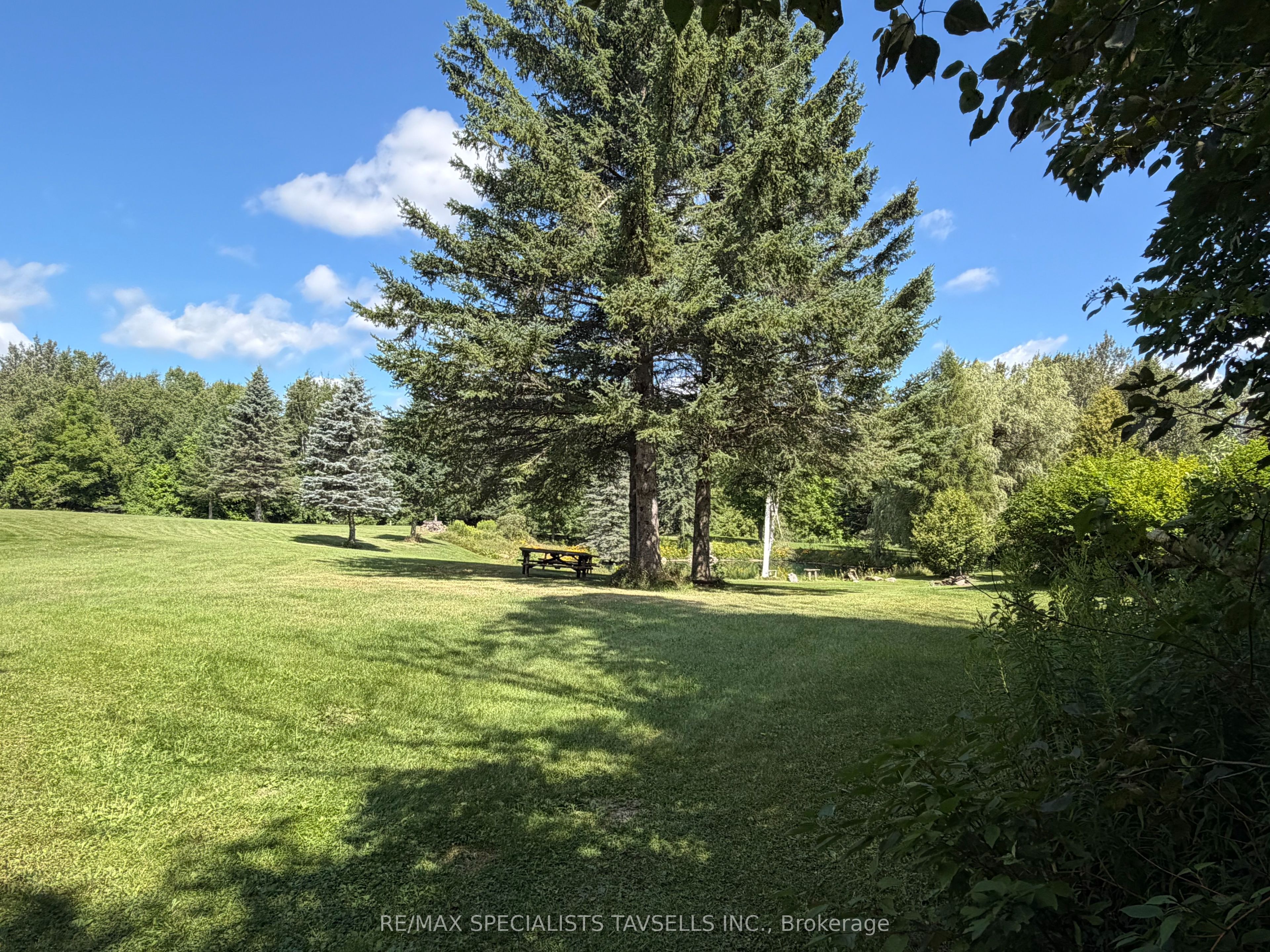 18606 Horseshoe Hill Road Property Photo 17