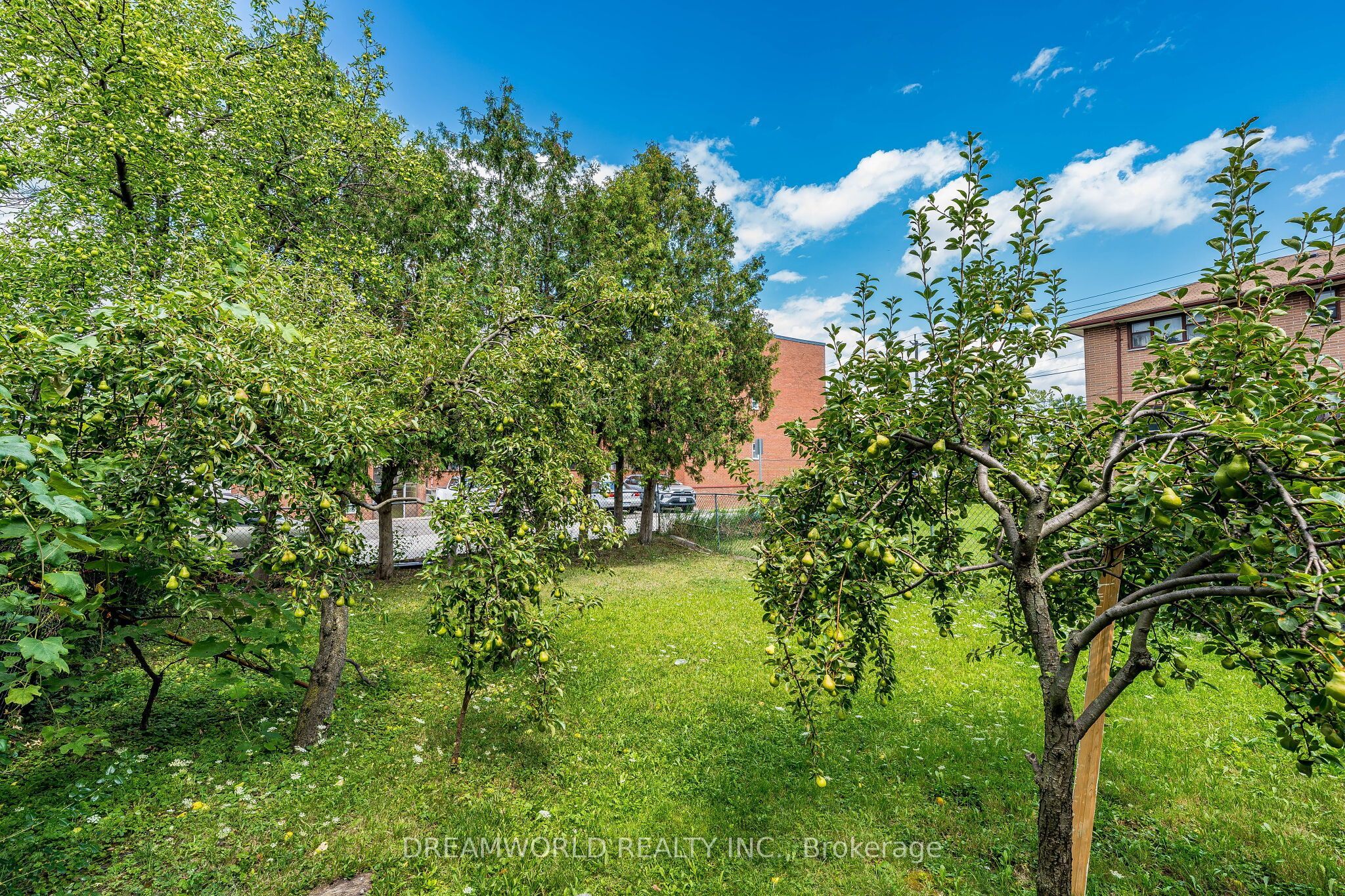 24 Whitburn Crescent Property Photo 46