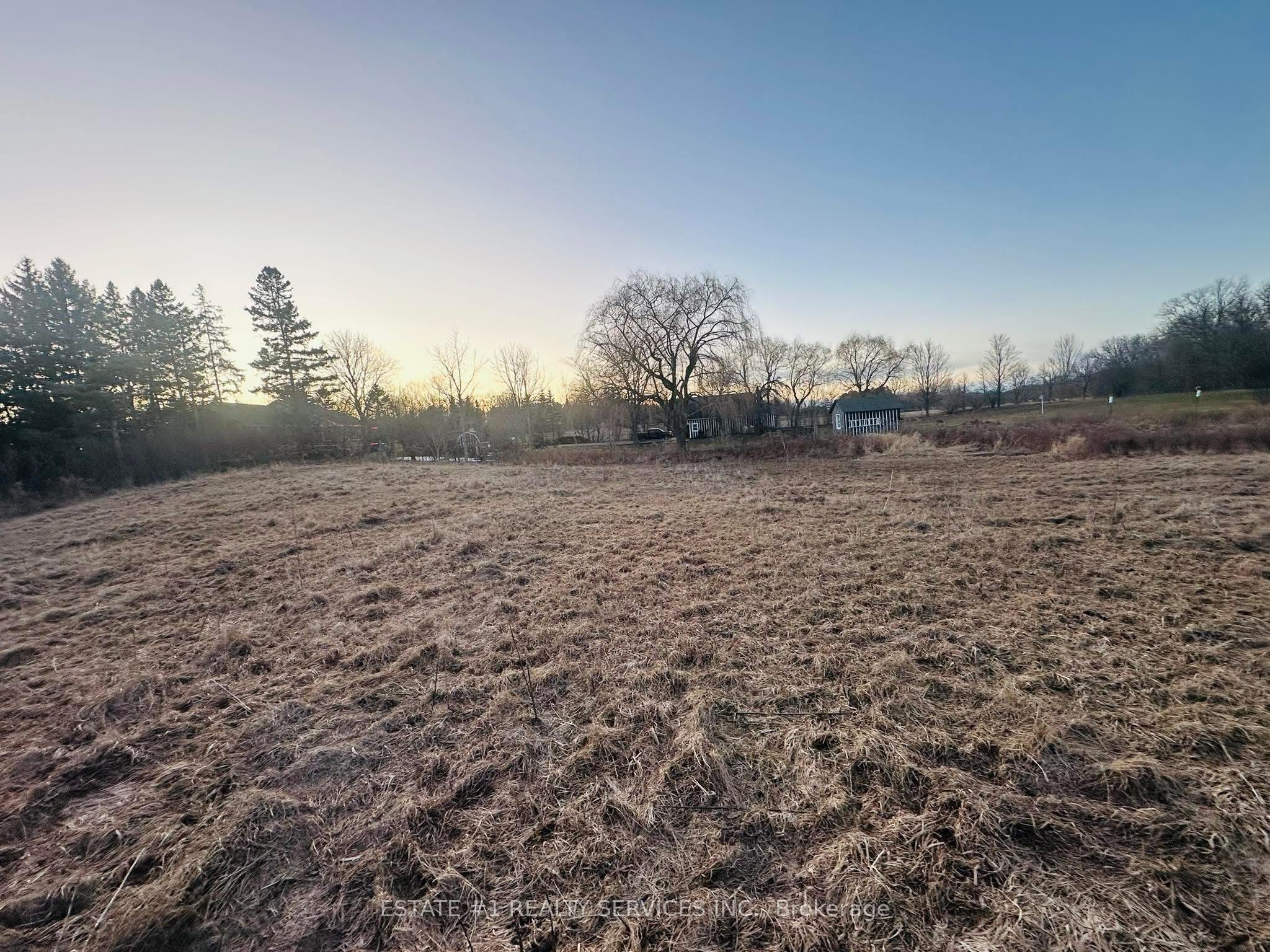 10231 Old Pinecrest Road Property Photo 2