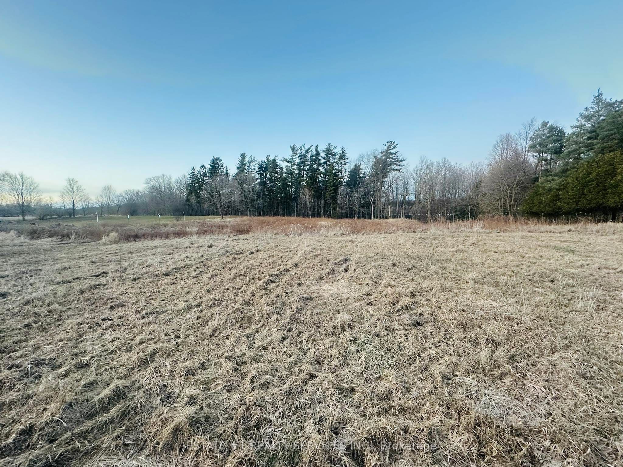 10231 Old Pinecrest Road Property Photo 3