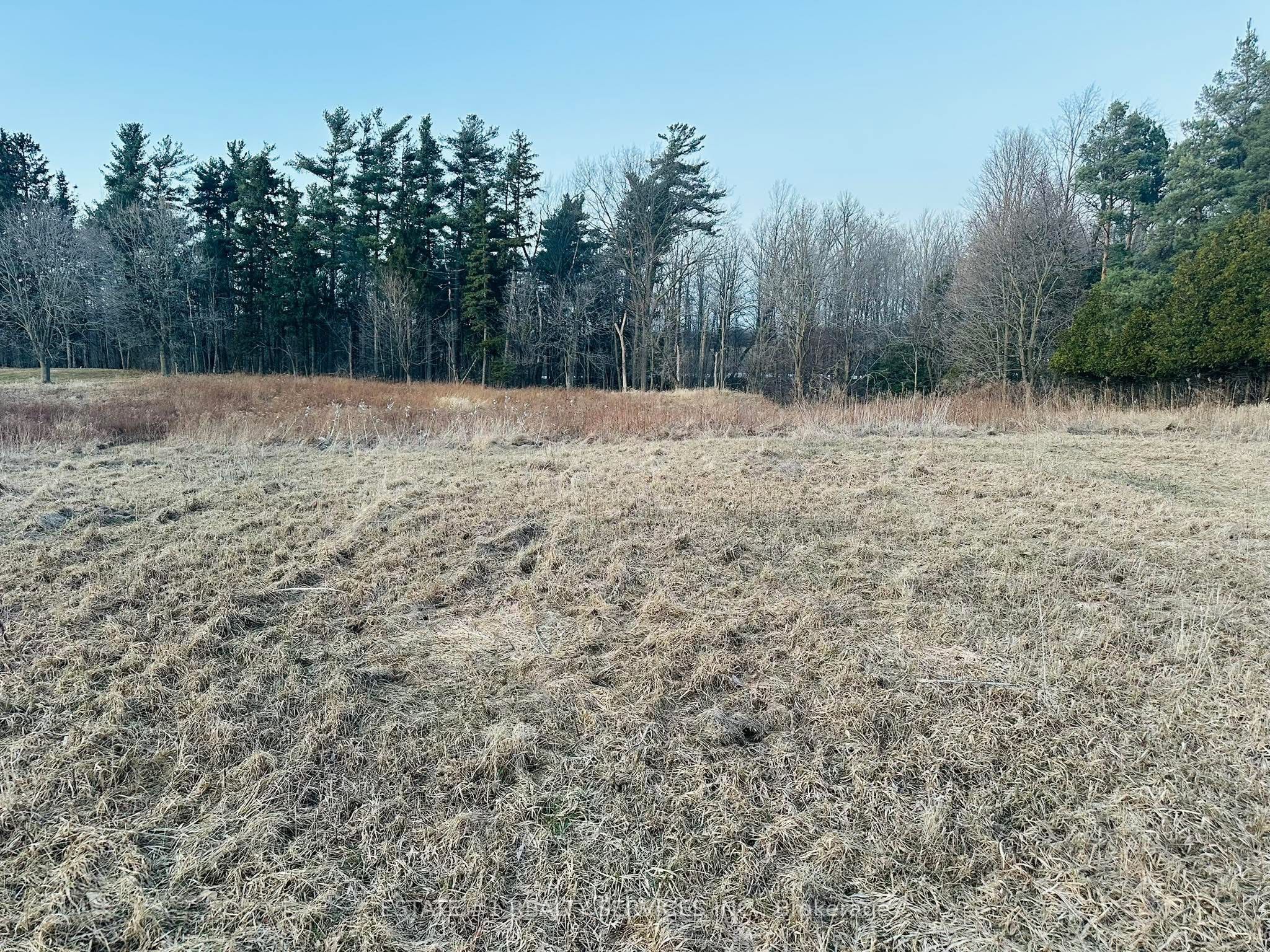 10231 Old Pinecrest Road Property Photo 5
