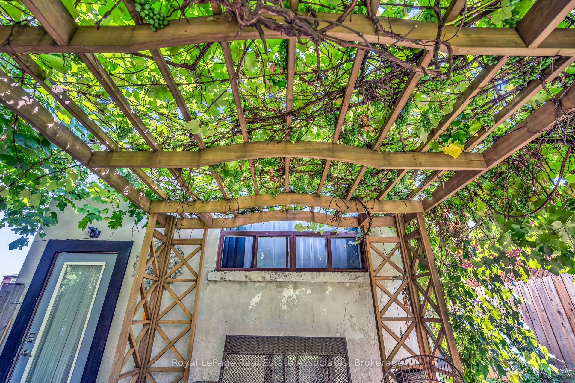 62 Rowntree Avenue Property Photo 43
