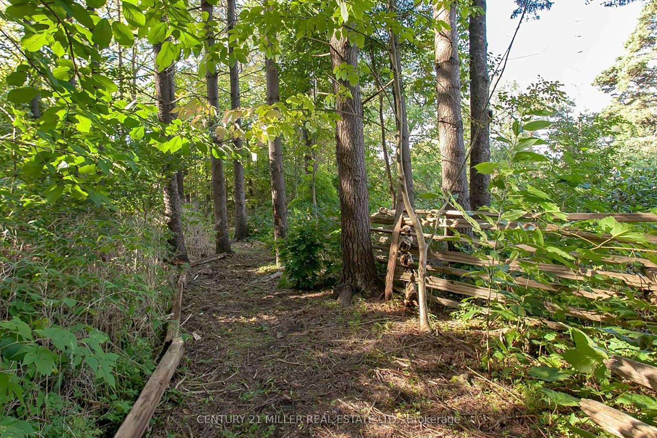 2602 No 2 Side Road Property Photo 8