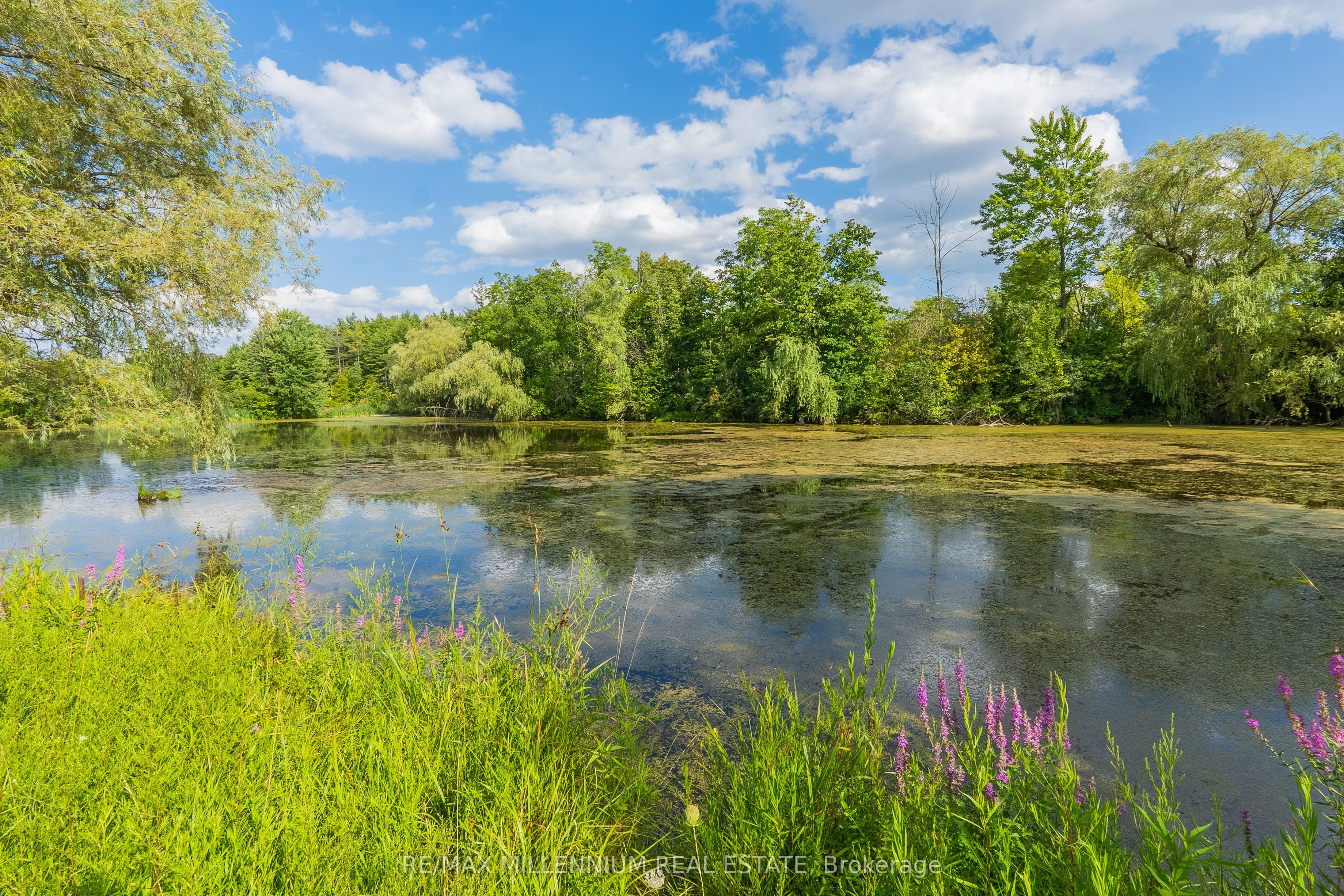16282 27 Side Road Property Photo 45