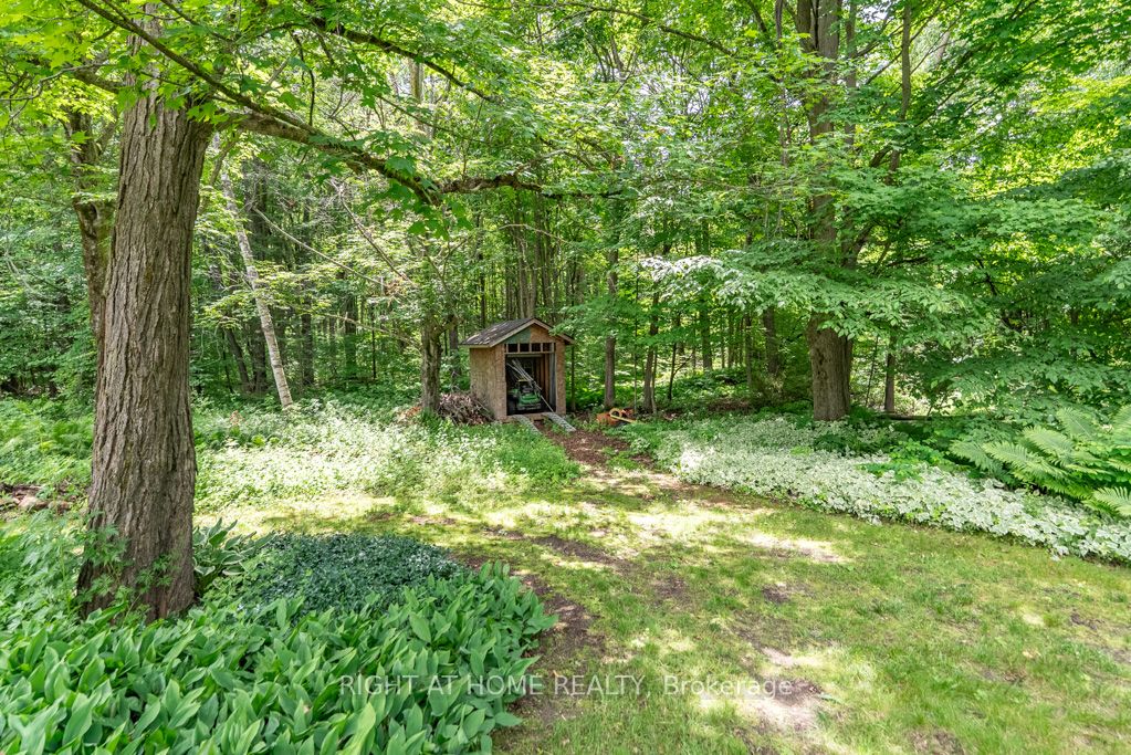 16 Snowberry Court Property Photo 46