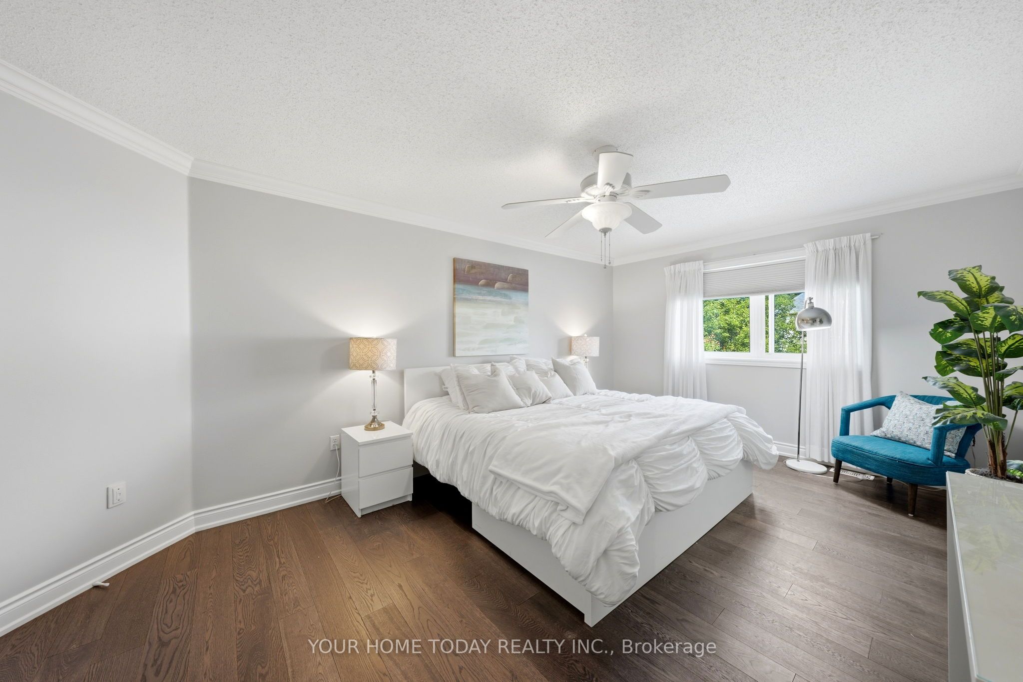 19 Mcnally Street Property Photo 19