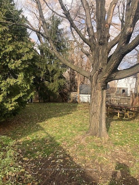 411 Enfield Road Lower Property Photo 9