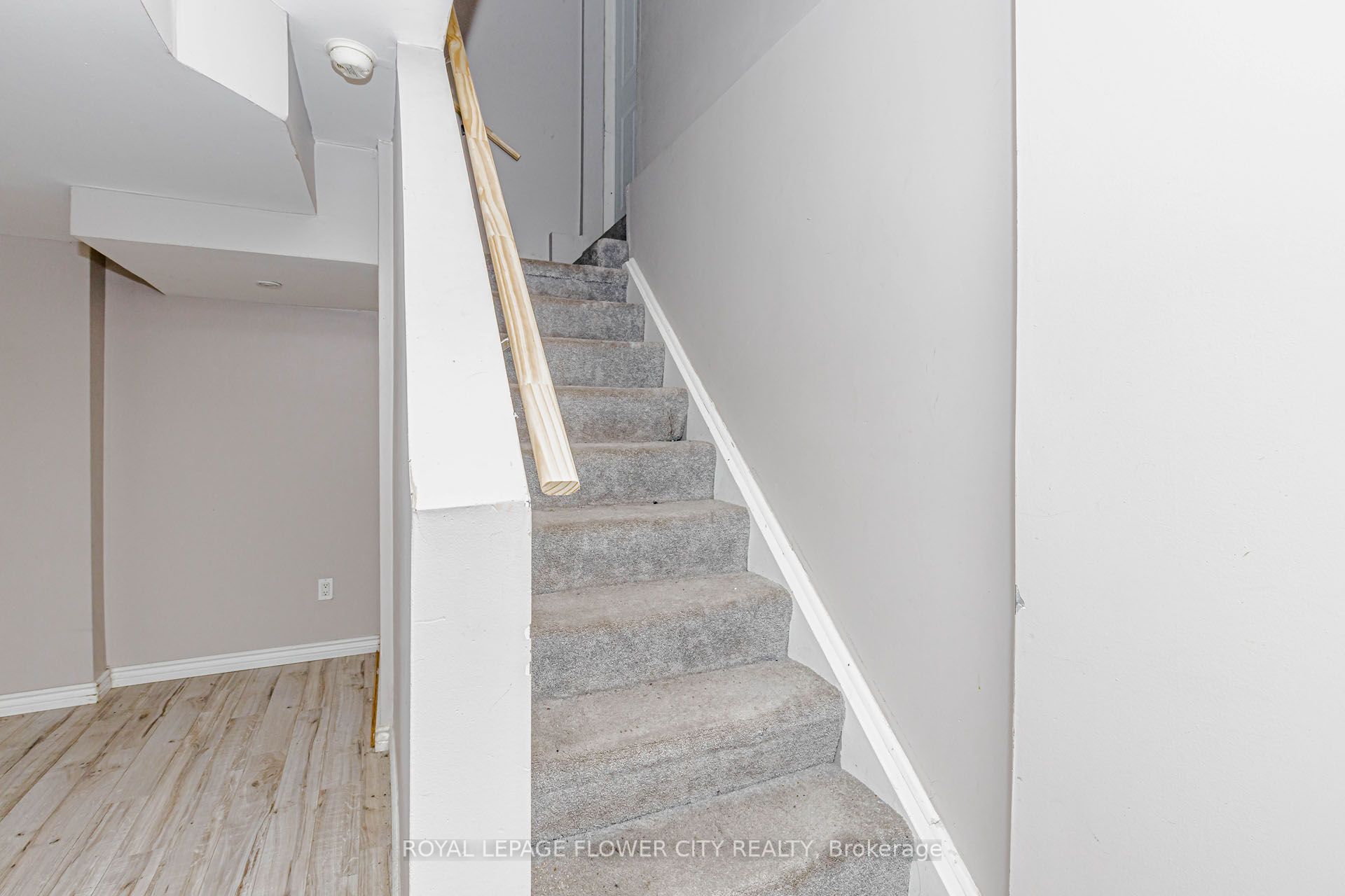 22 Wallingford Court Property Photo 35