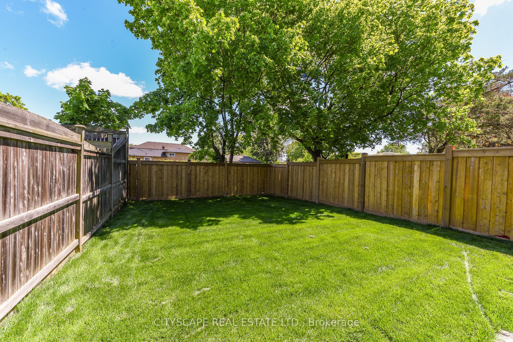 954 Fourth Street Property Photo 4