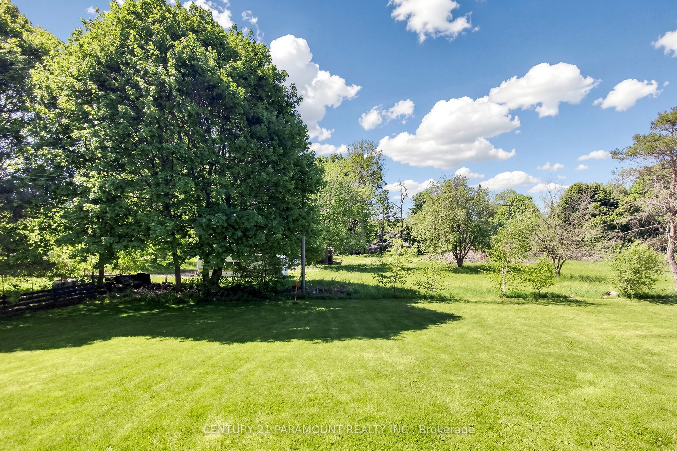48 Edmund Street Property Photo 45