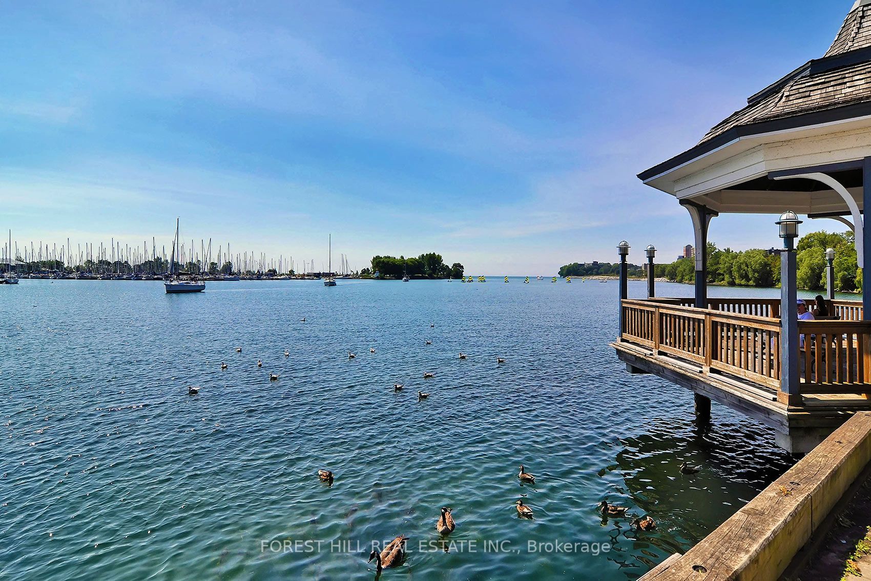 55 Vanevery Street Property Photo 48