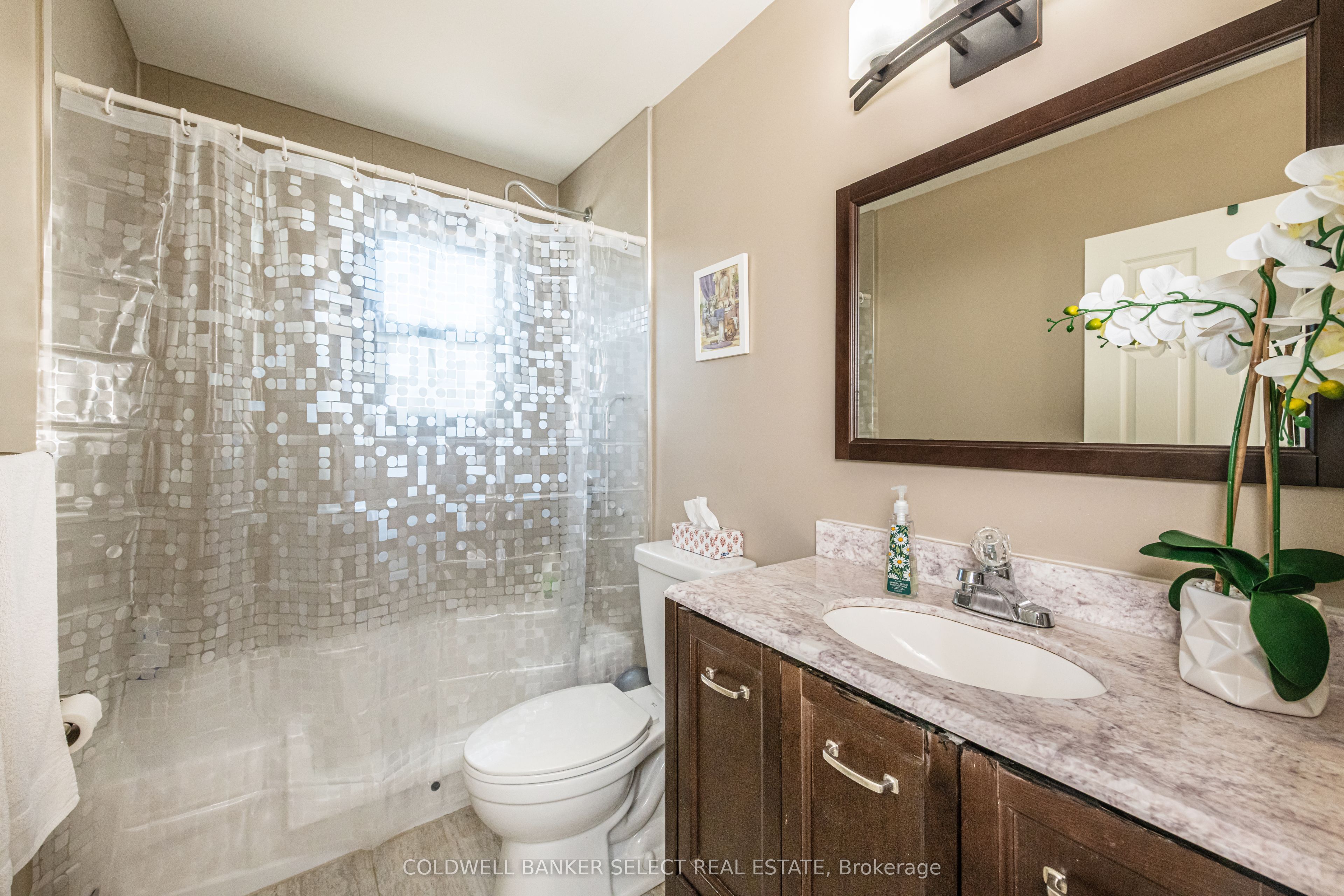 71 Martha Street Property Photo 16