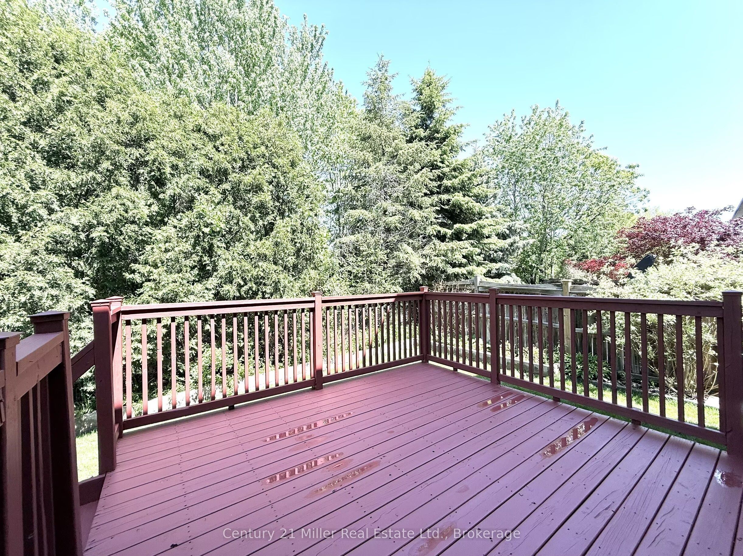 2241 Adirondak Trail Property Photo 47