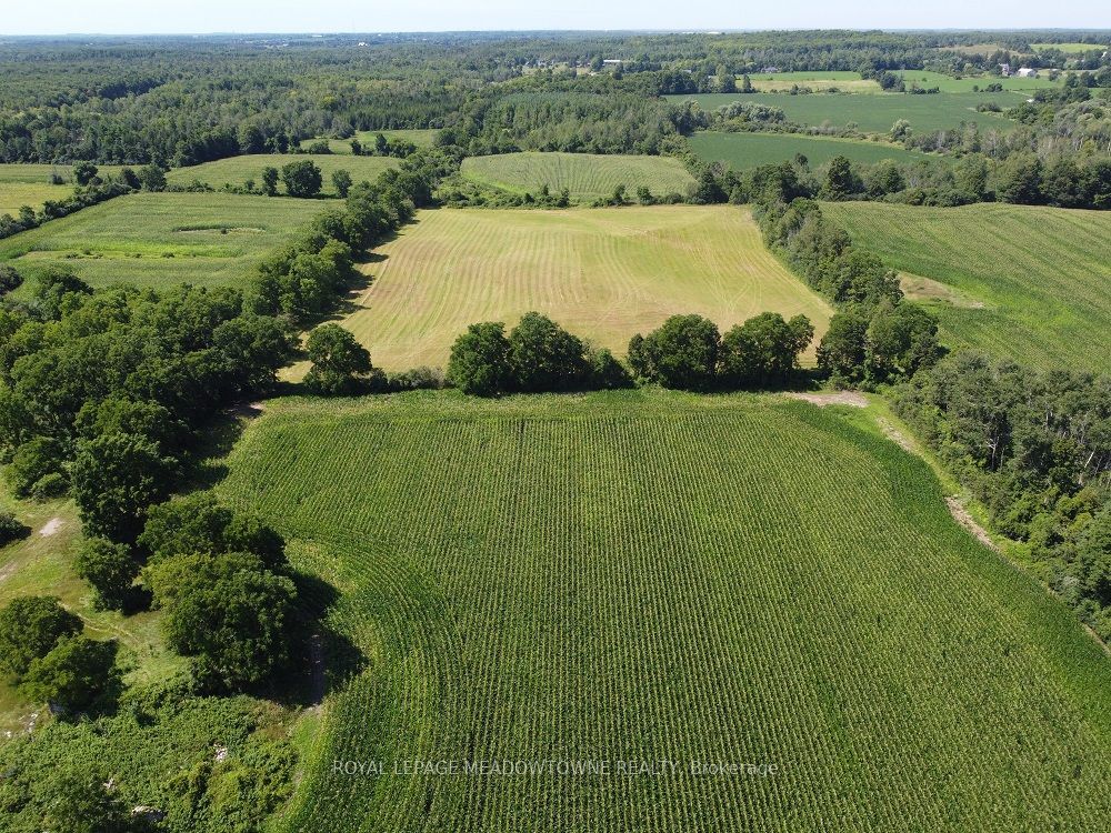 11080 First Line Nassagaweya Property Photo 1