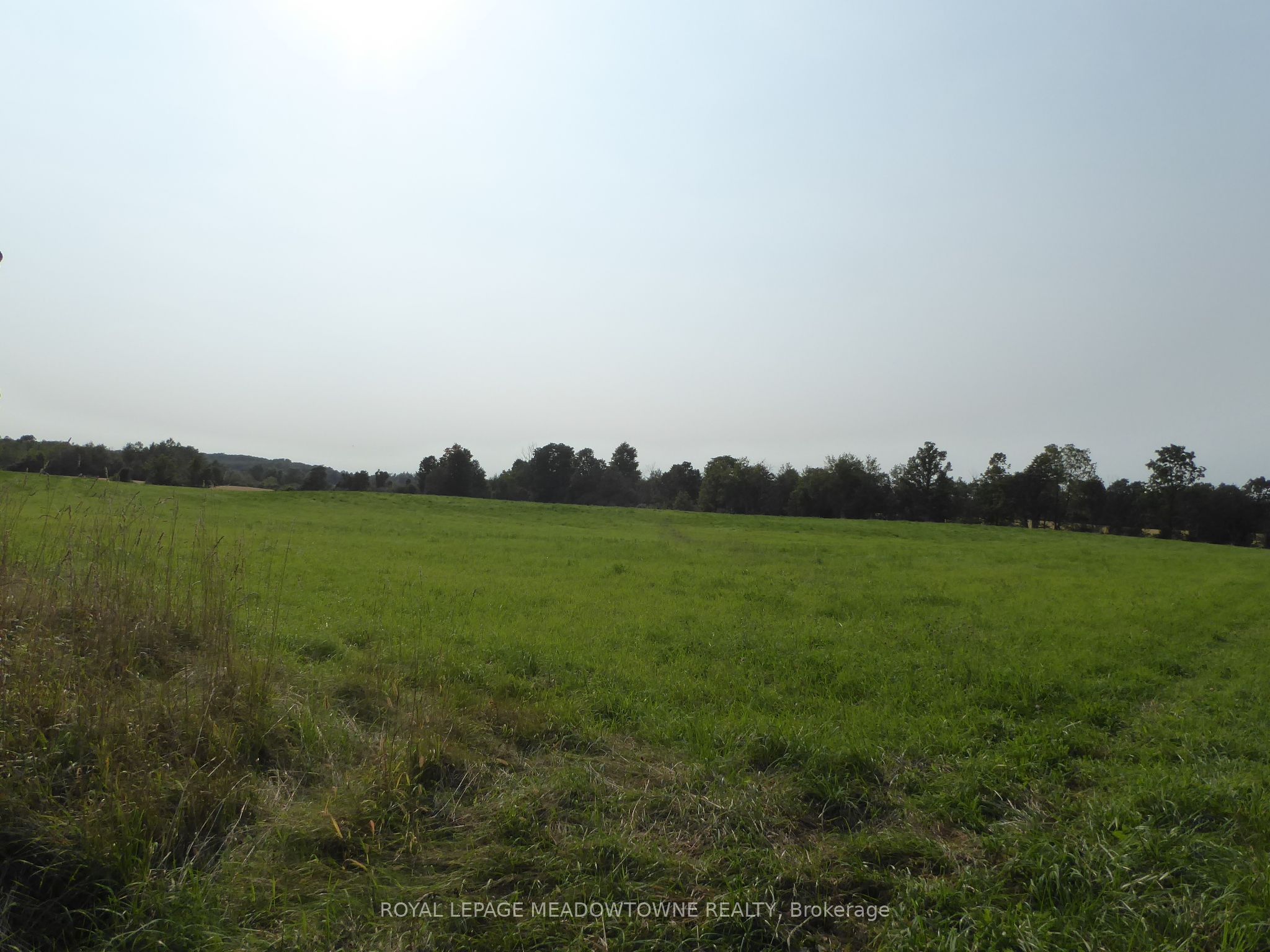 11080 First Line Nassagaweya Property Photo 3
