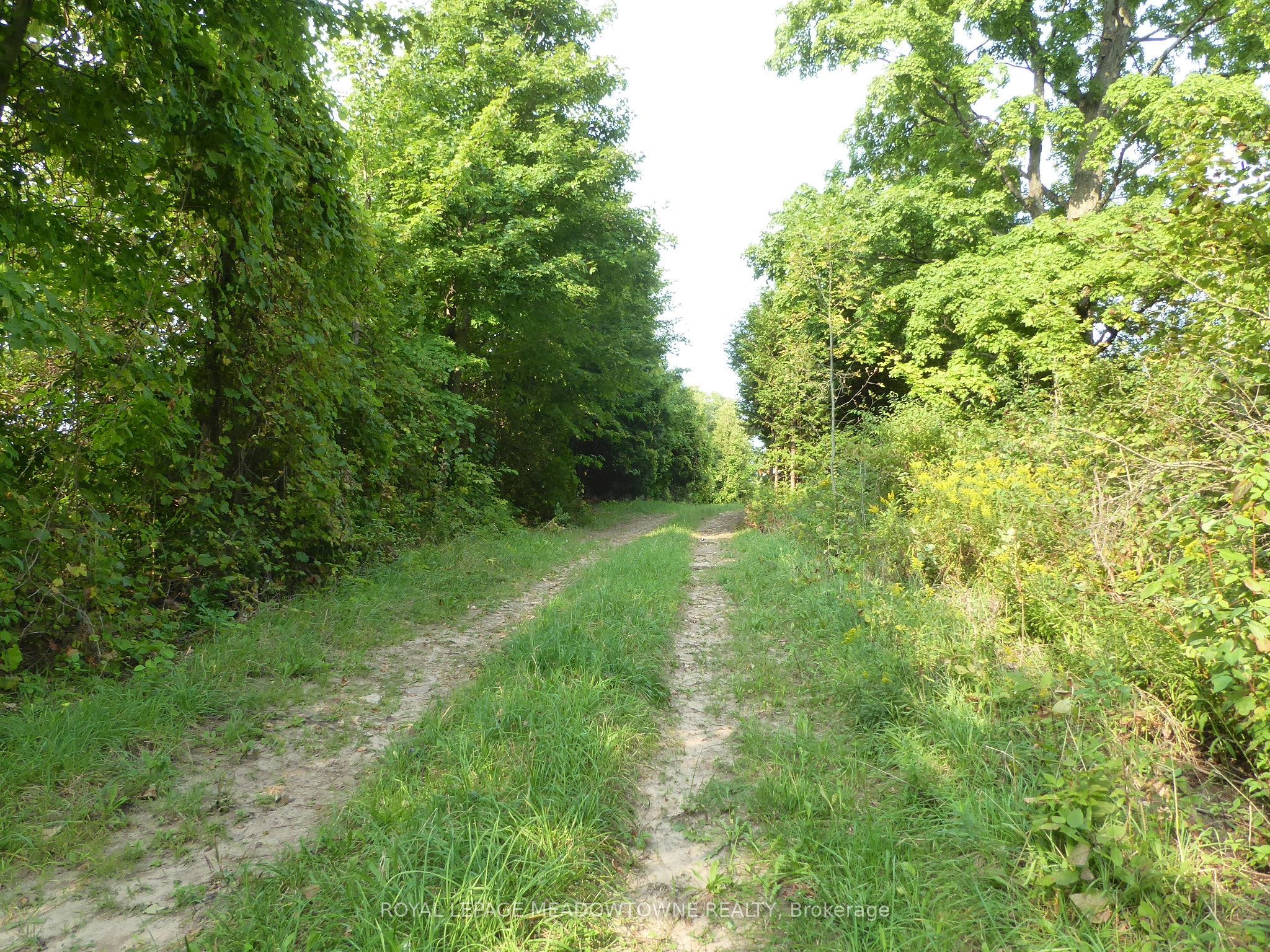11080 First Line Nassagaweya Property Photo 4