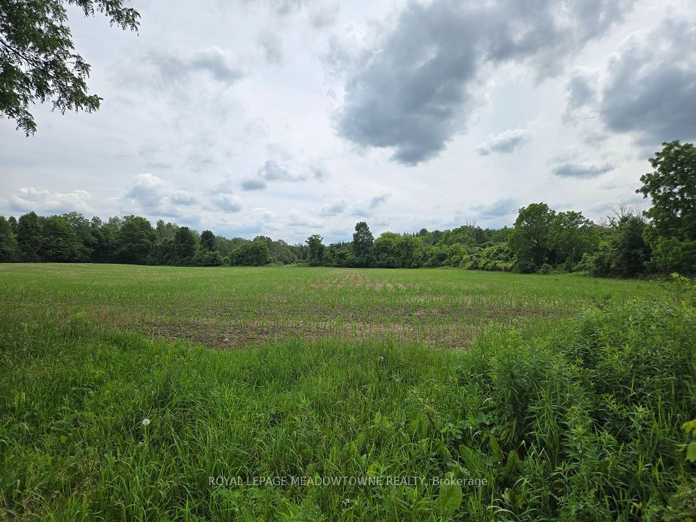 11080 First Line Nassagaweya Property Photo 8