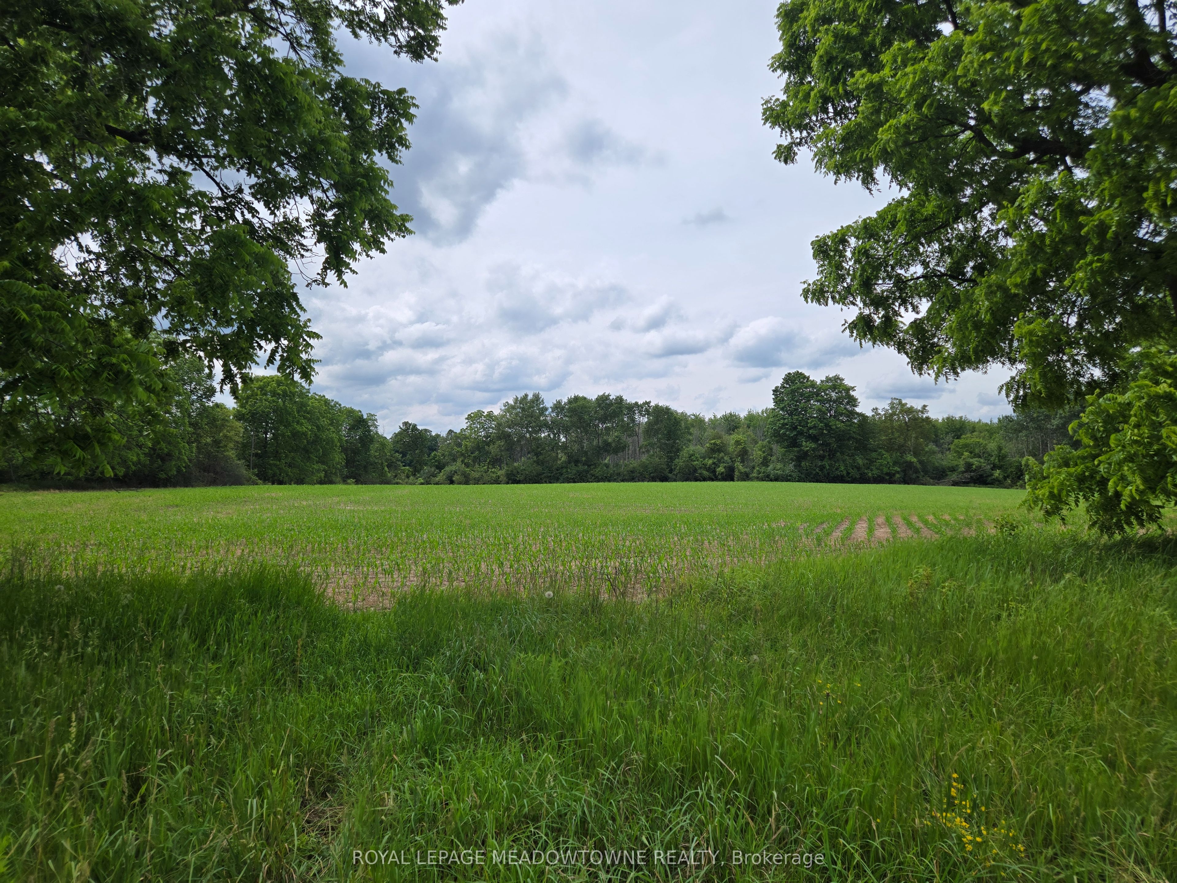 11080 First Line Nassagaweya Property Photo 9