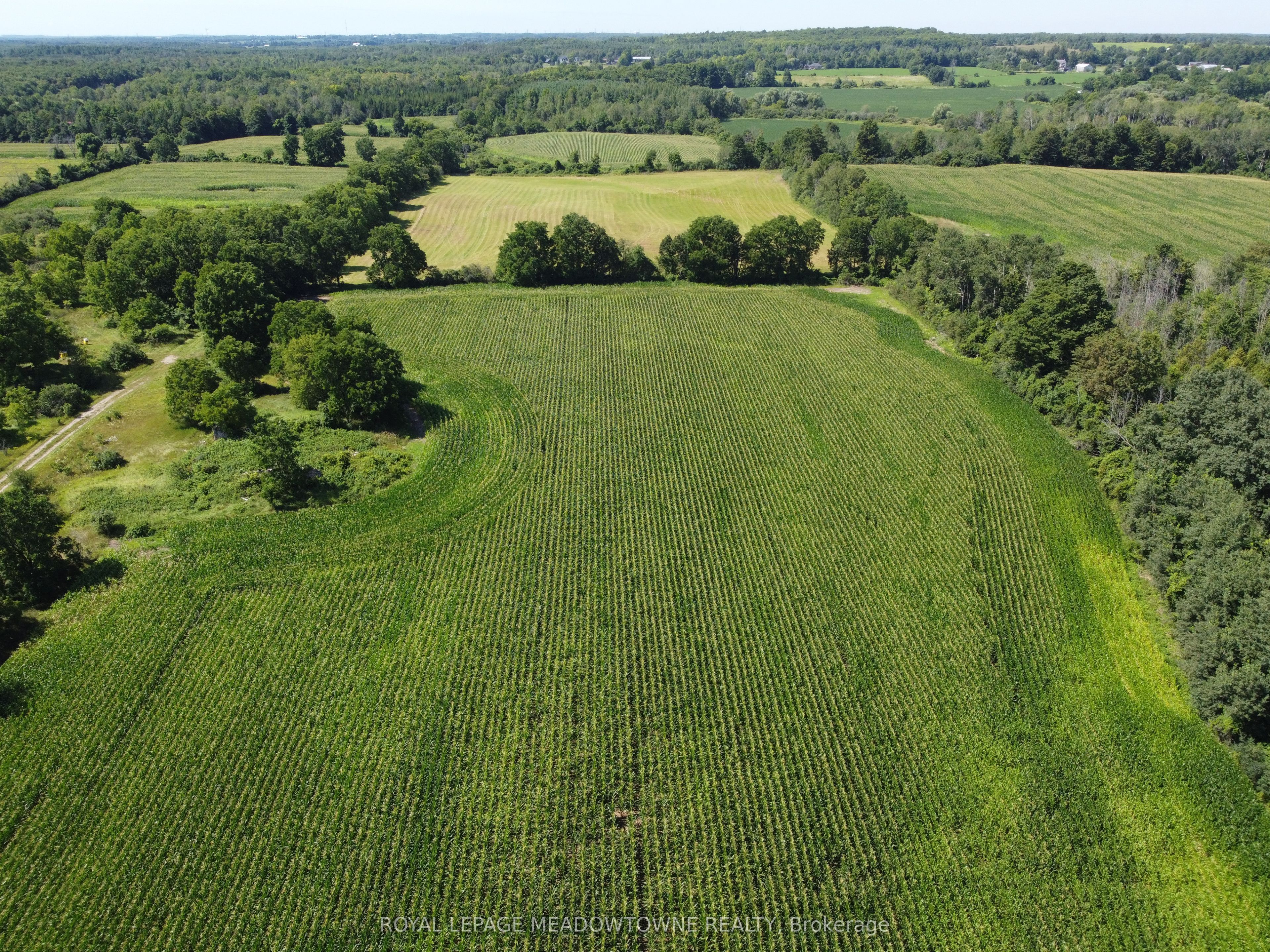 11080 First Line Nassagaweya Property Photo 10
