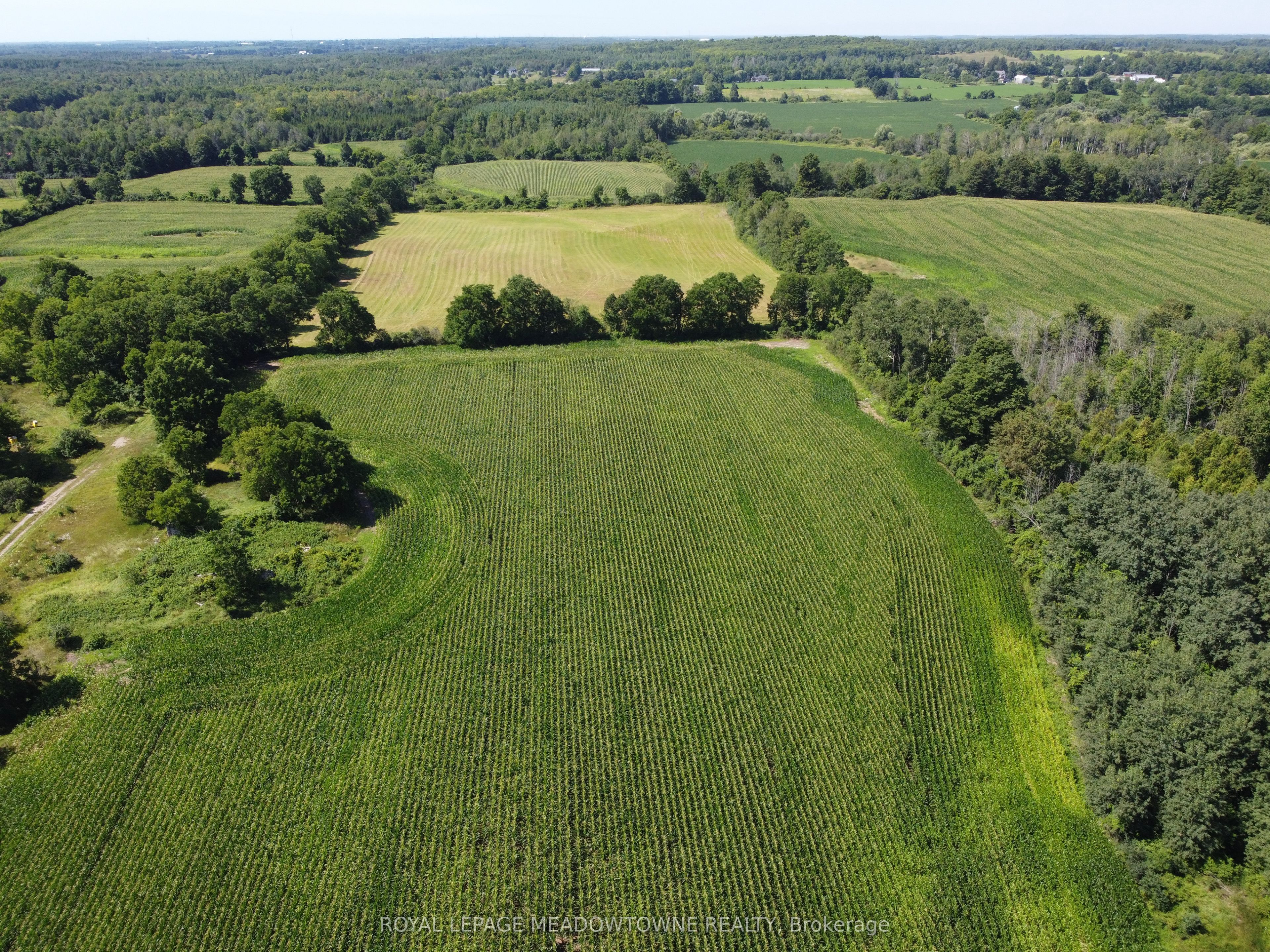 11080 First Line Nassagaweya Property Photo 11