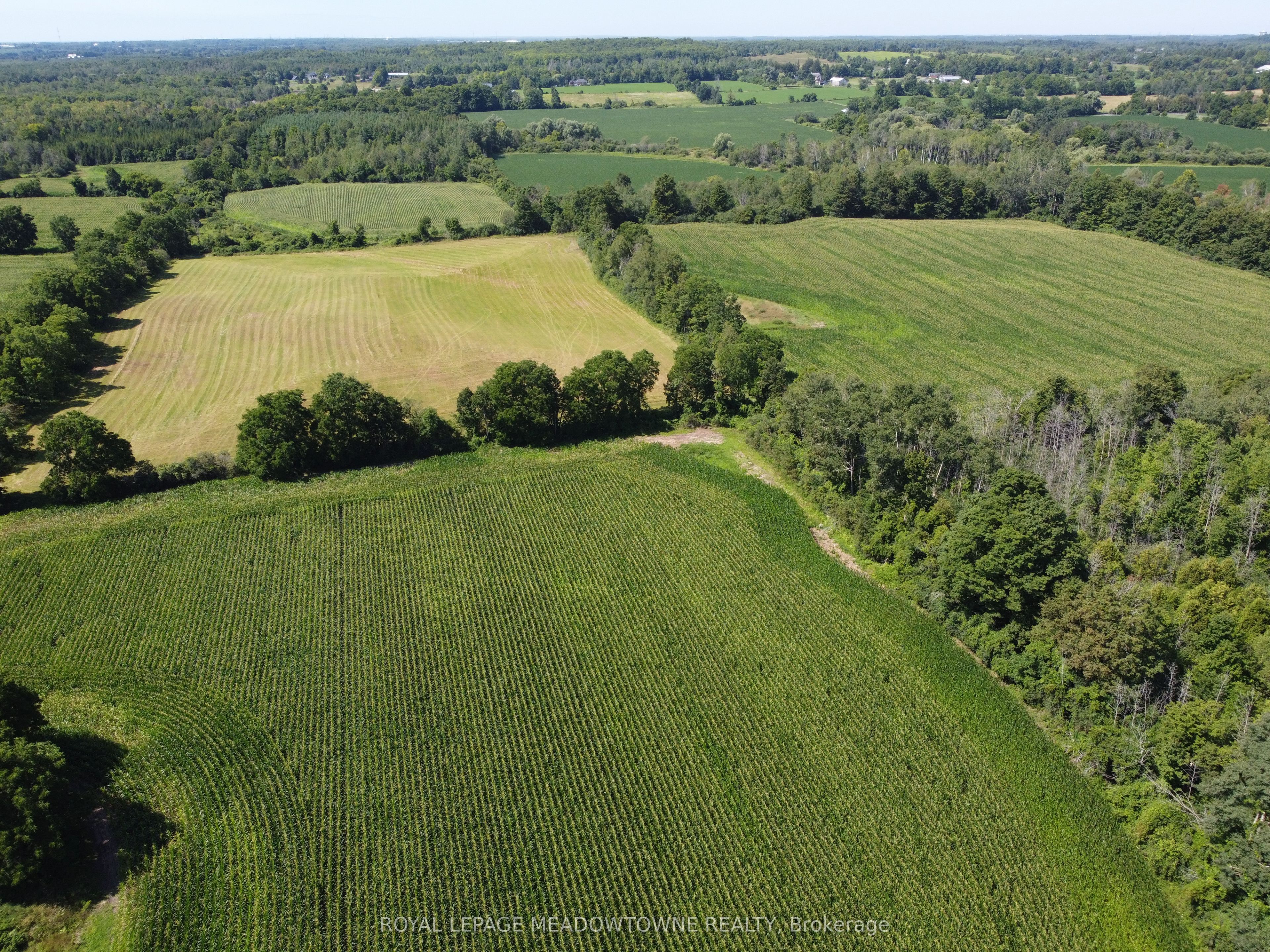 11080 First Line Nassagaweya Property Photo 13