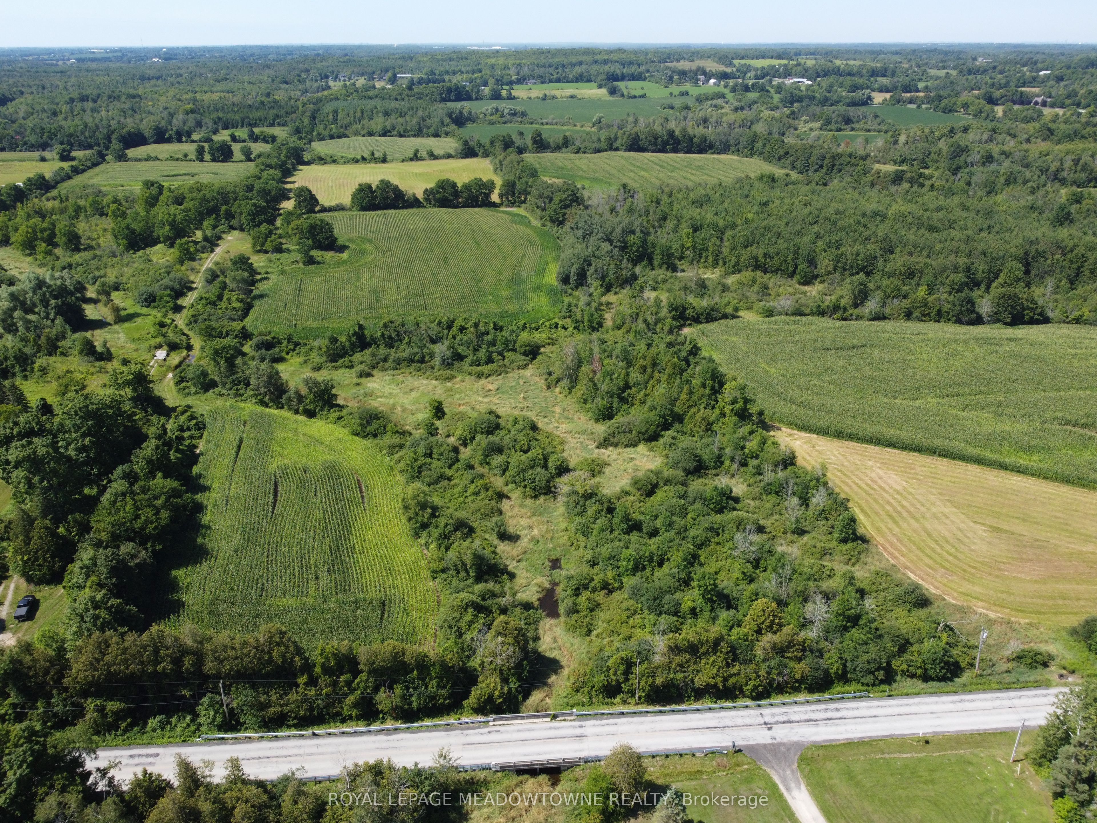 11080 First Line Nassagaweya Property Photo 18
