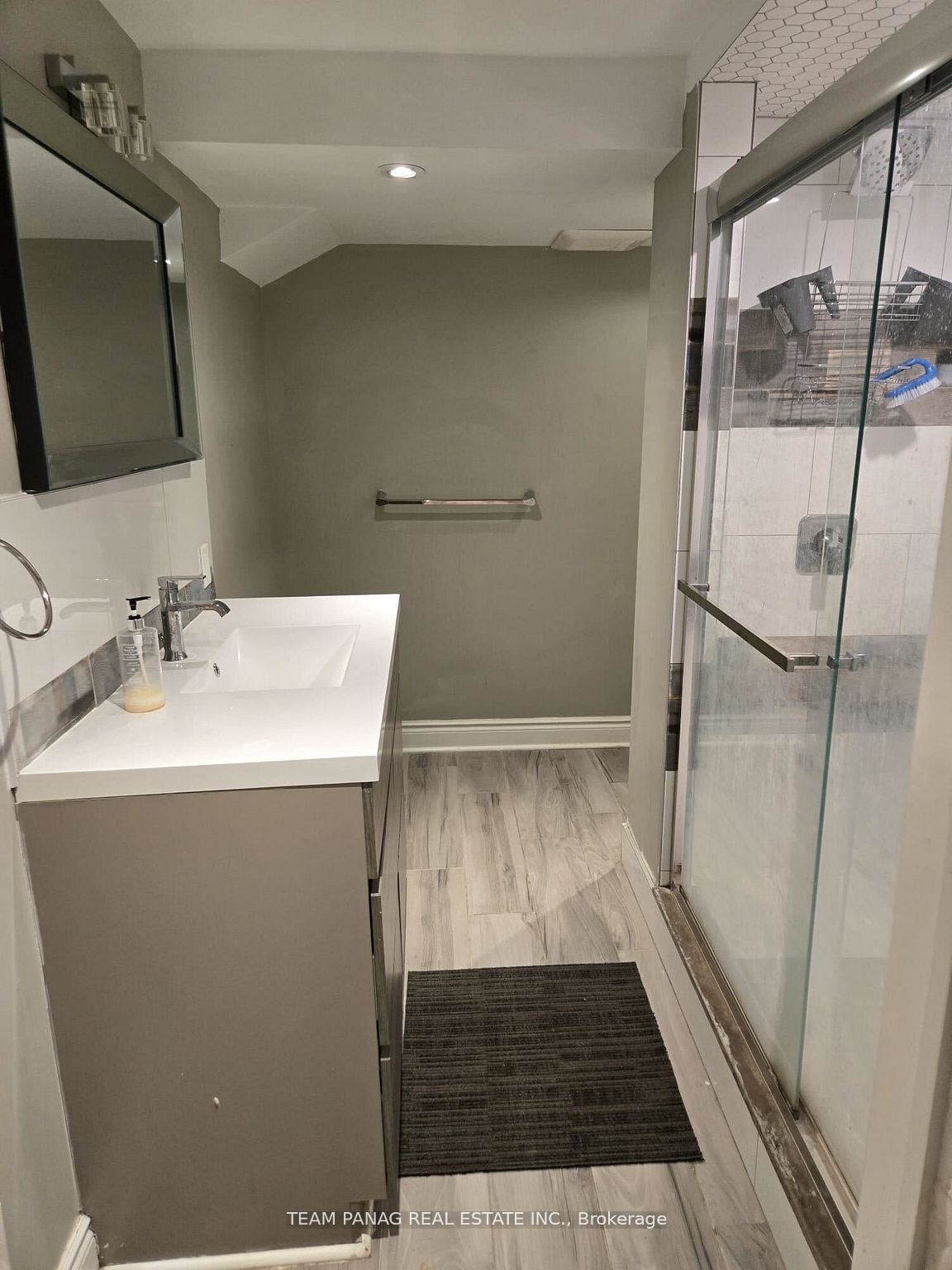 4 Meadow Bush Court Basement Property Photo 9
