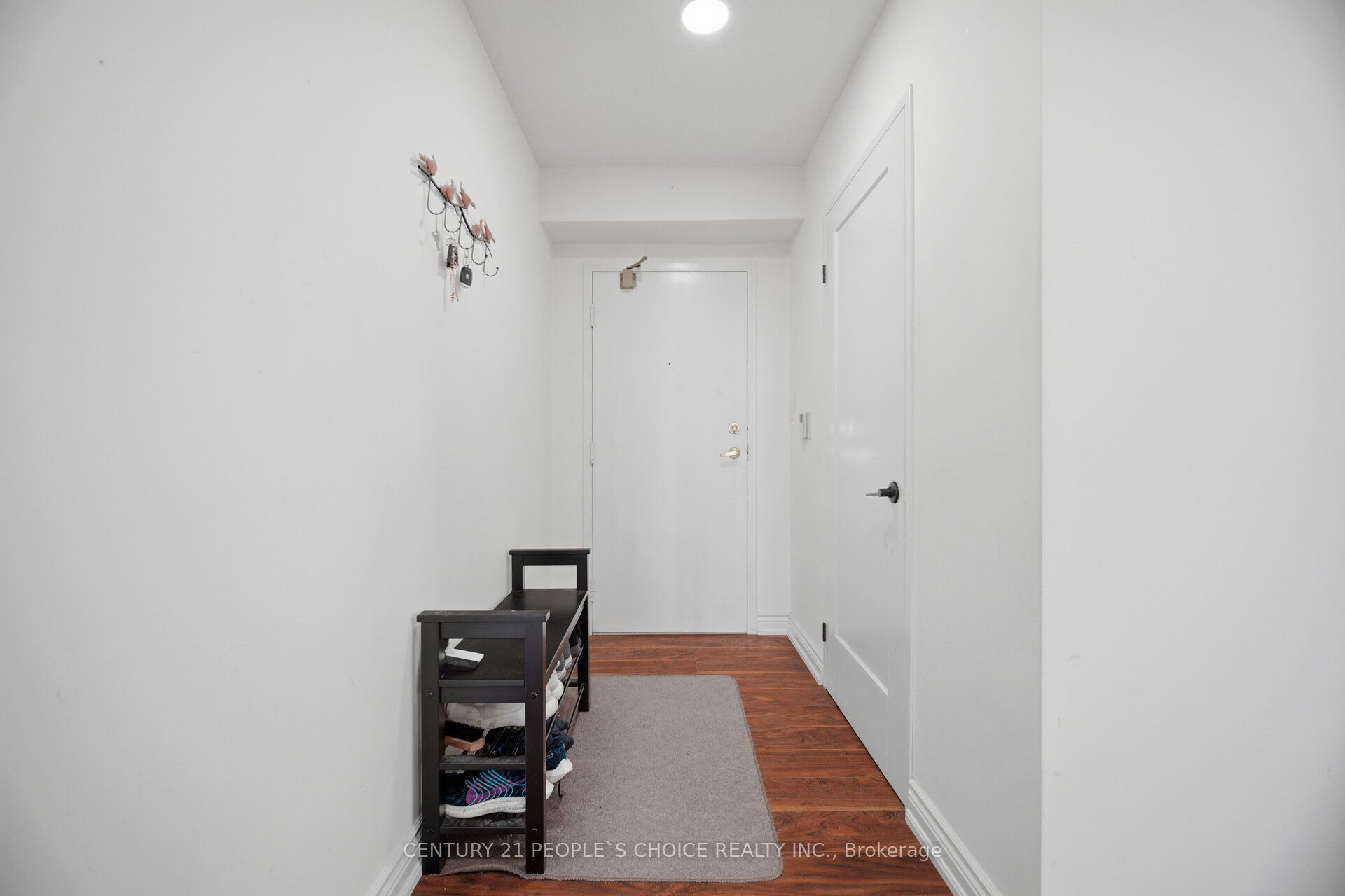 3605 Kariya Drive 703 Property Photo 5