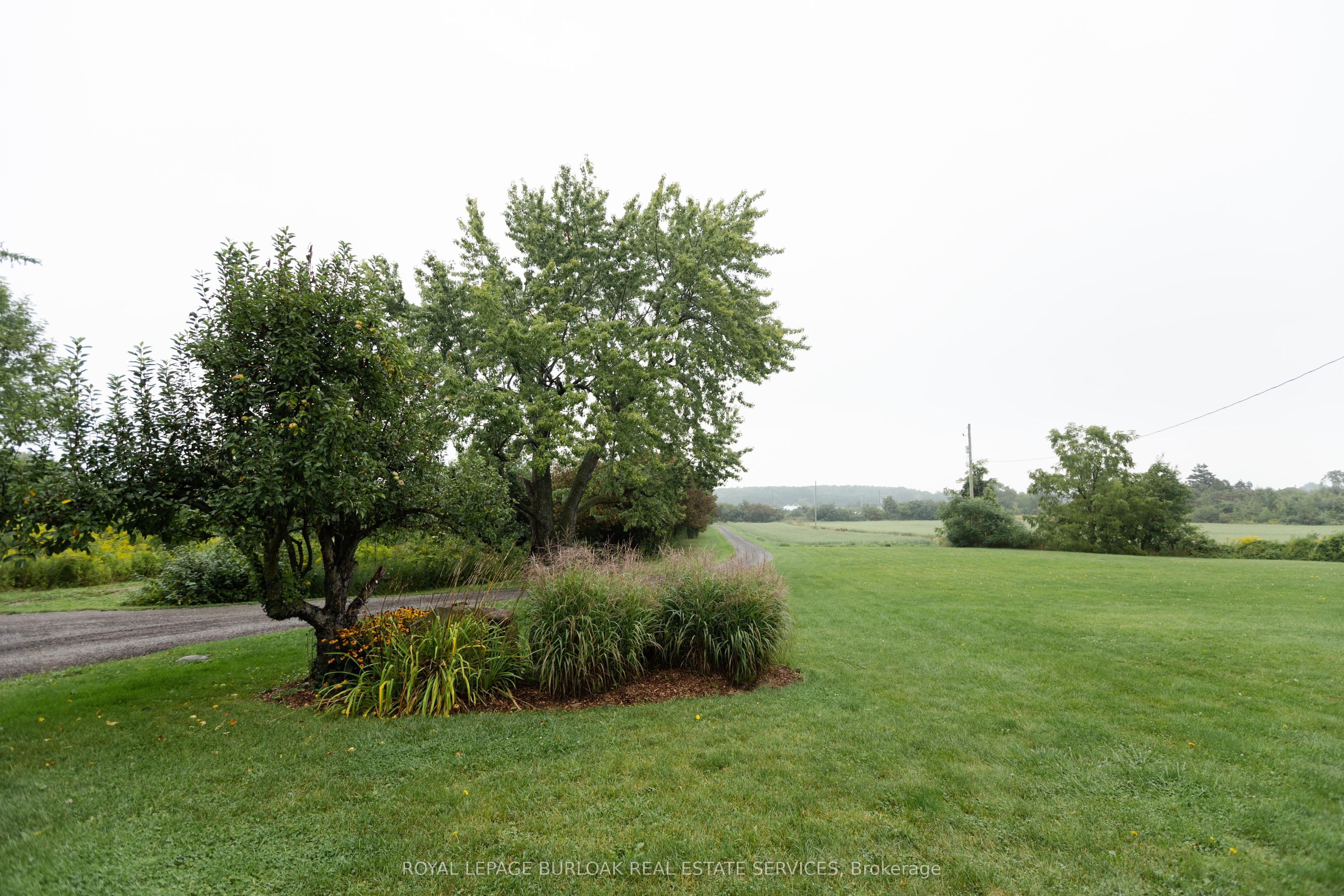 7682 Old Tremaine Road Property Photo 3
