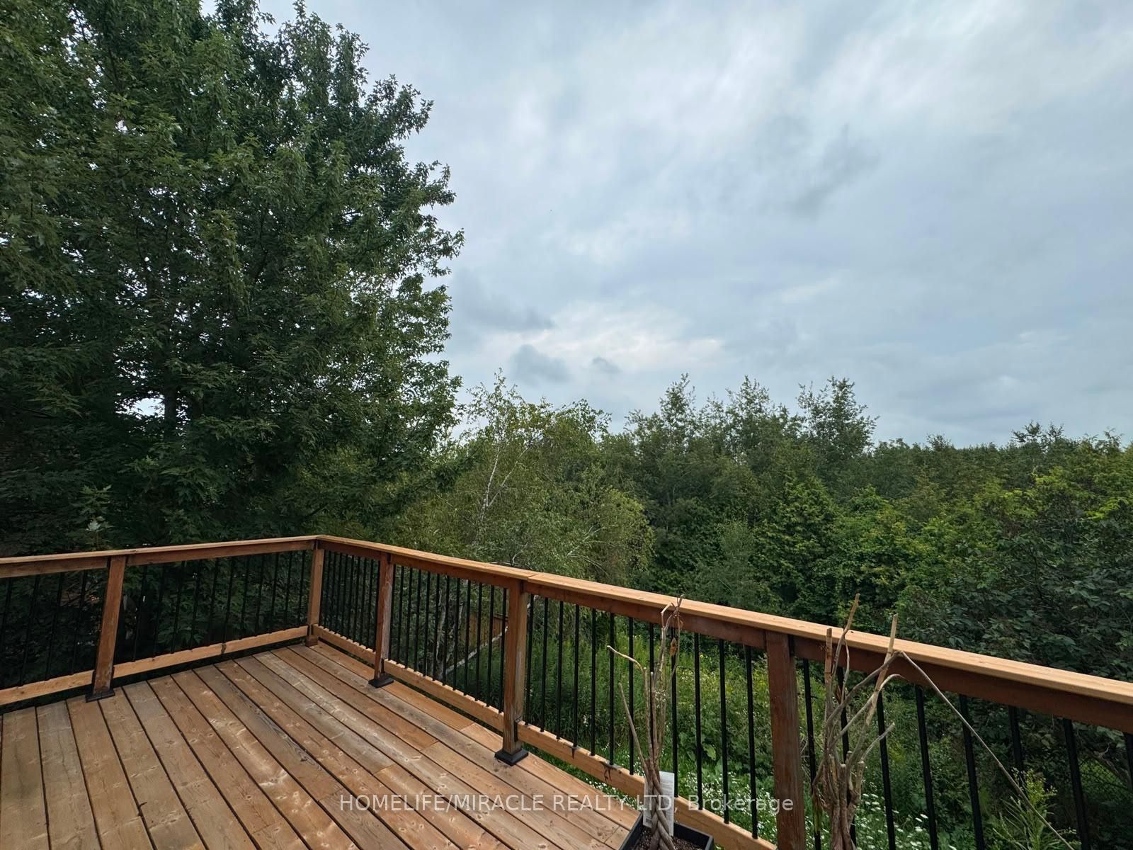50 Buckingham Street Property Photo 21